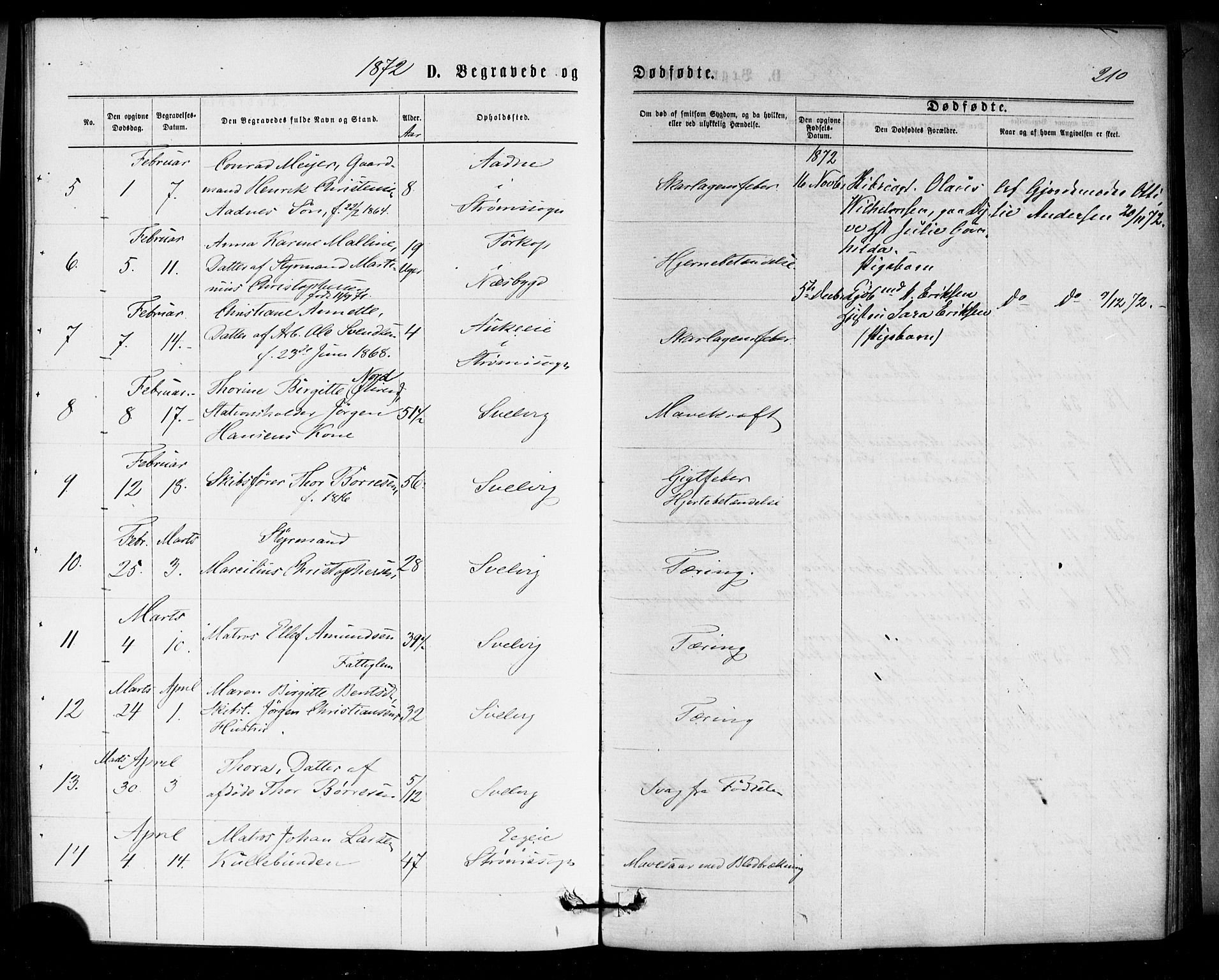 Strømm kirkebøker, SAKO/A-322/F/Fa/L0002: Parish register (official) no. I 2, 1870-1877, p. 210