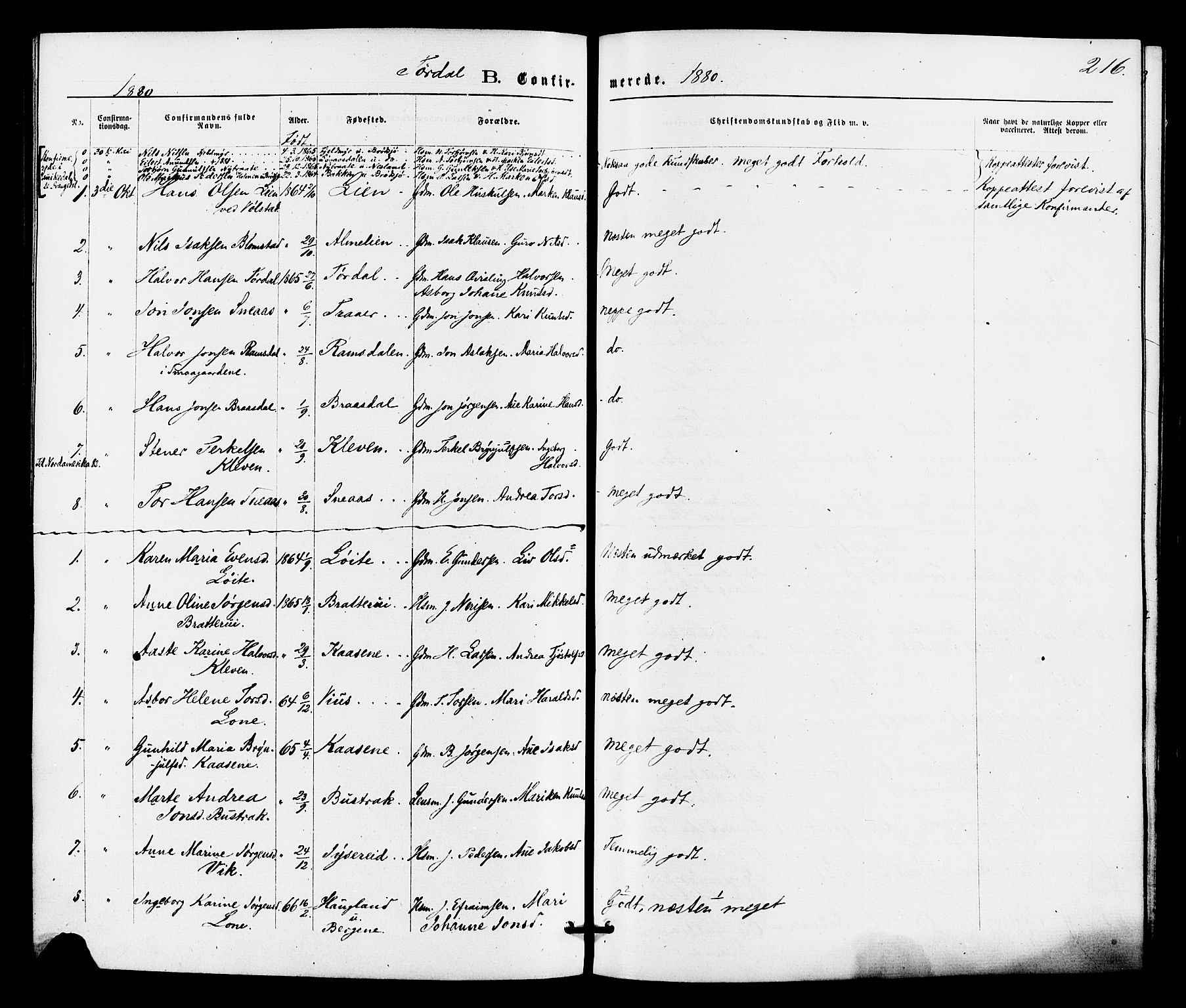 Drangedal kirkebøker, AV/SAKO-A-258/F/Fa/L0009: Parish register (official) no. 9 /2, 1872-1884, p. 216