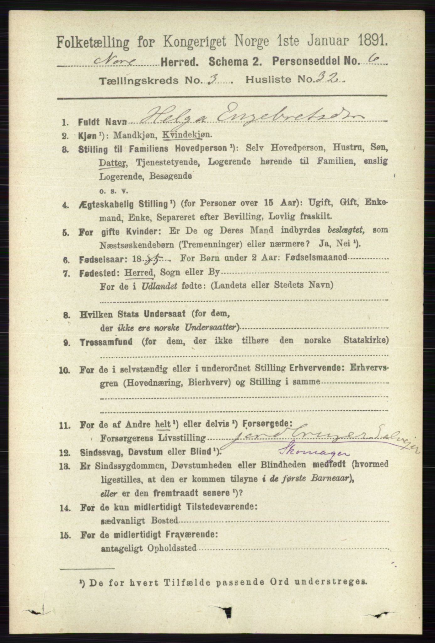 RA, 1891 census for 0633 Nore, 1891, p. 903