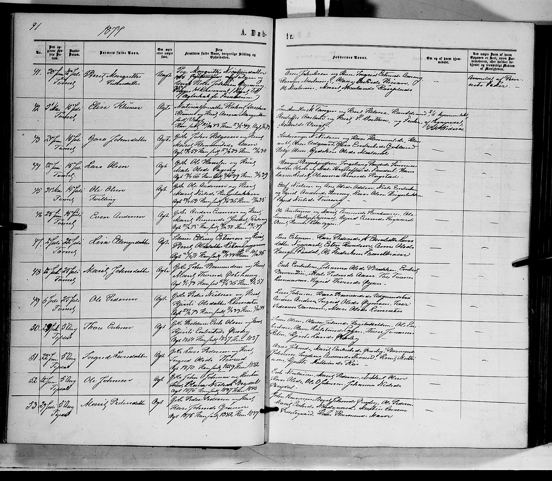Tynset prestekontor, SAH/PREST-058/H/Ha/Haa/L0021: Parish register (official) no. 21, 1863-1879, p. 91