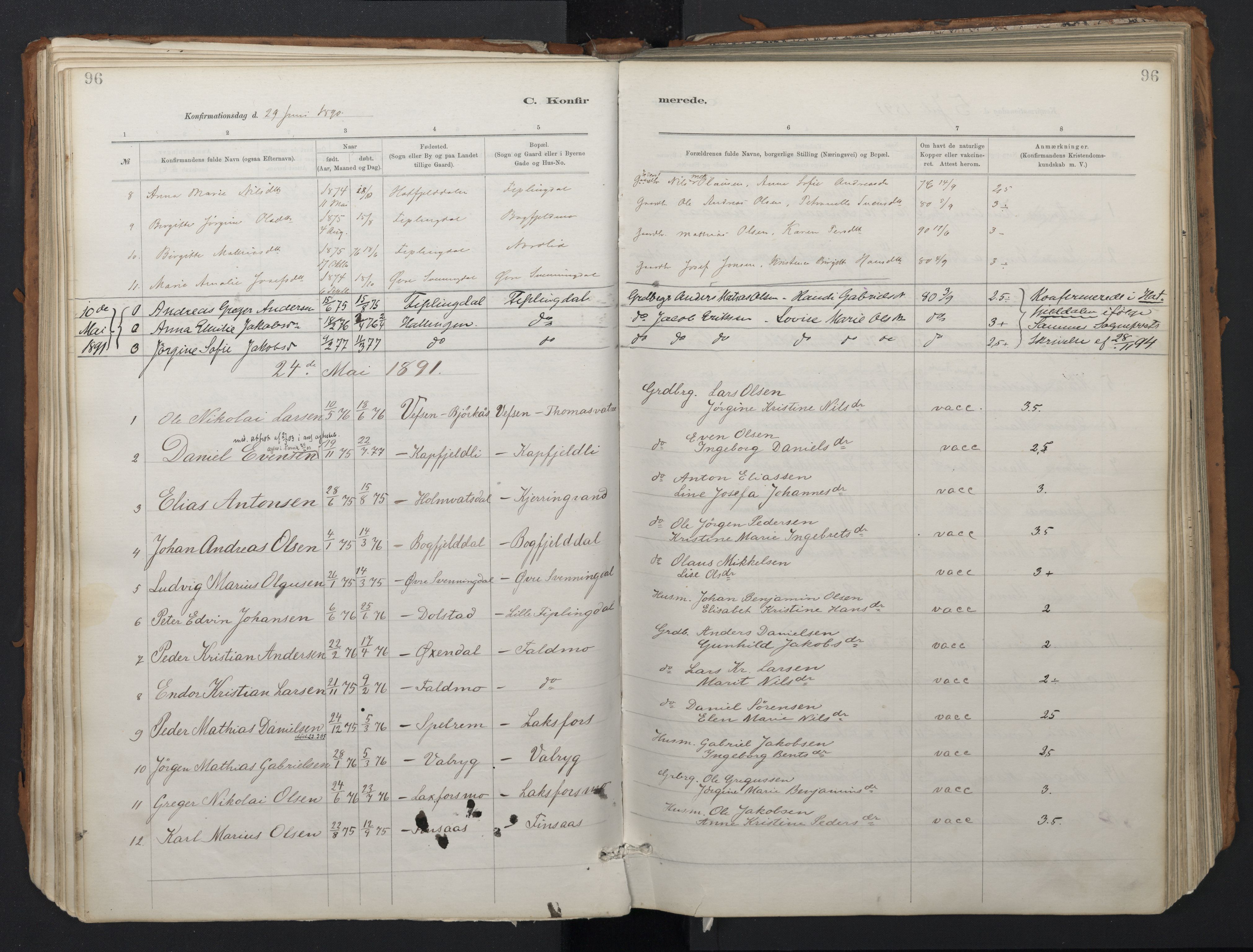 Ministerialprotokoller, klokkerbøker og fødselsregistre - Nordland, SAT/A-1459/824/L0338: Parish register (official) no. 824A01, 1880-1915, p. 96