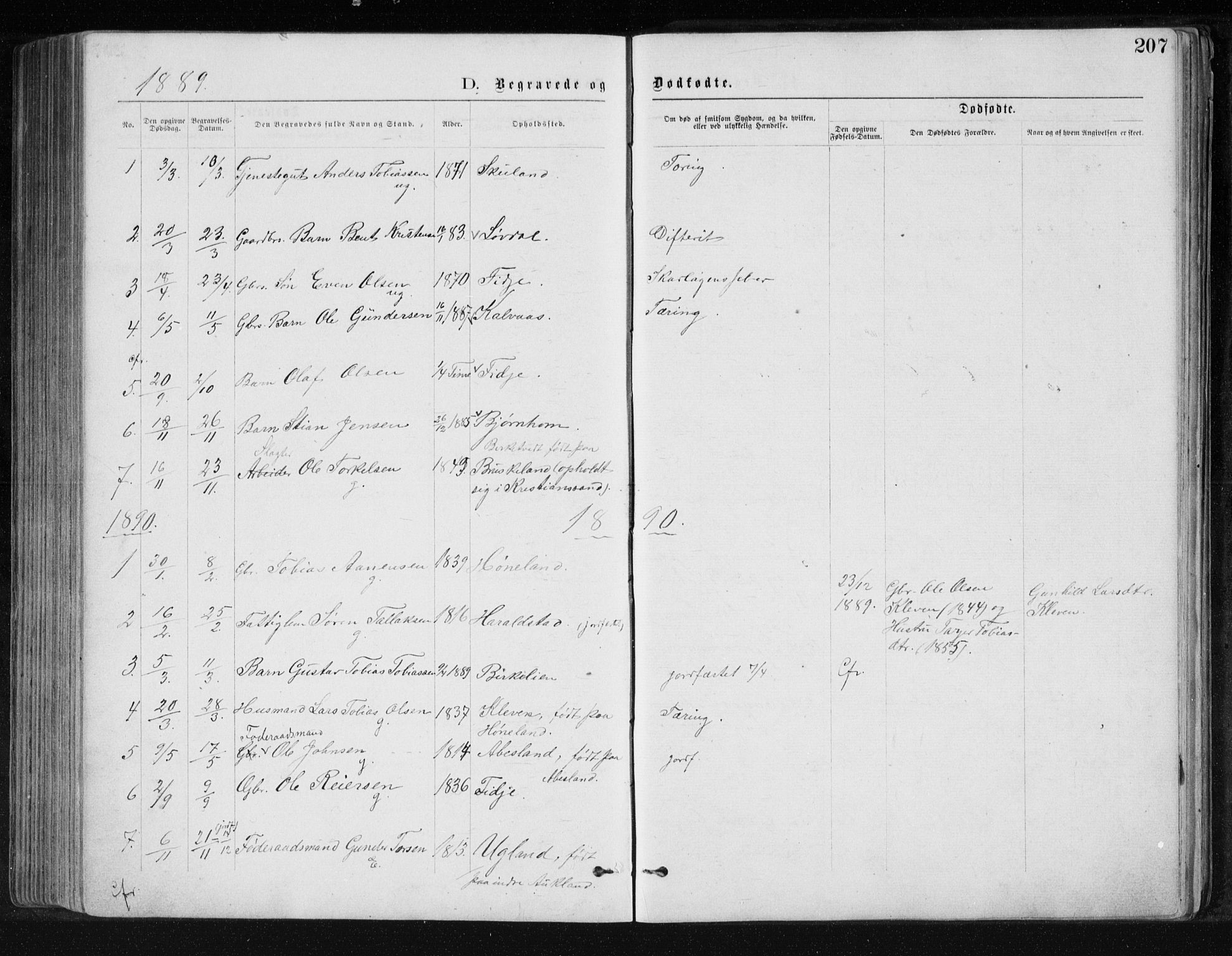 Holum sokneprestkontor, SAK/1111-0022/F/Fb/Fbb/L0003: Parish register (copy) no. B 3, 1875-1898, p. 207