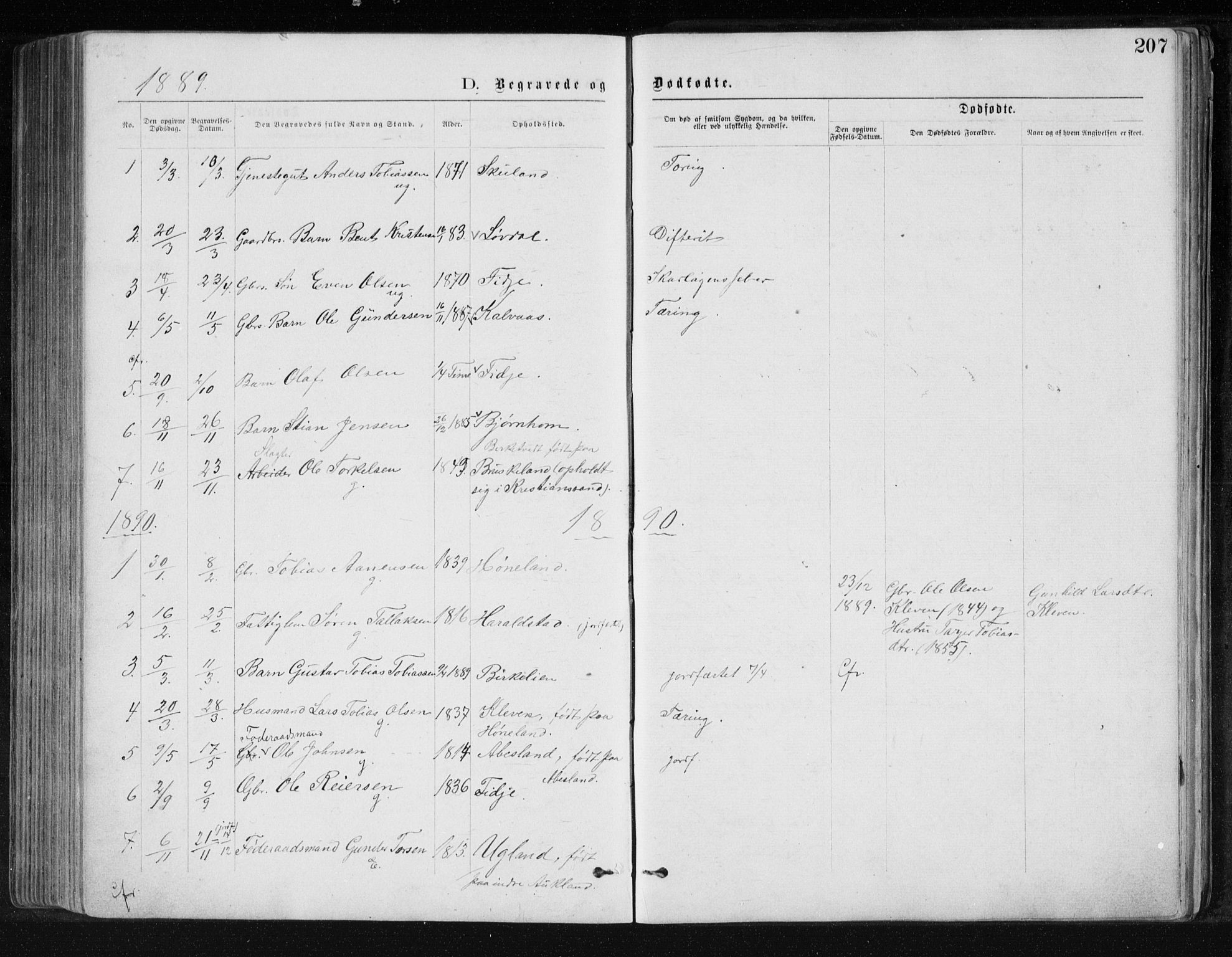 Holum sokneprestkontor, AV/SAK-1111-0022/F/Fb/Fbb/L0003: Parish register (copy) no. B 3, 1875-1898, p. 207