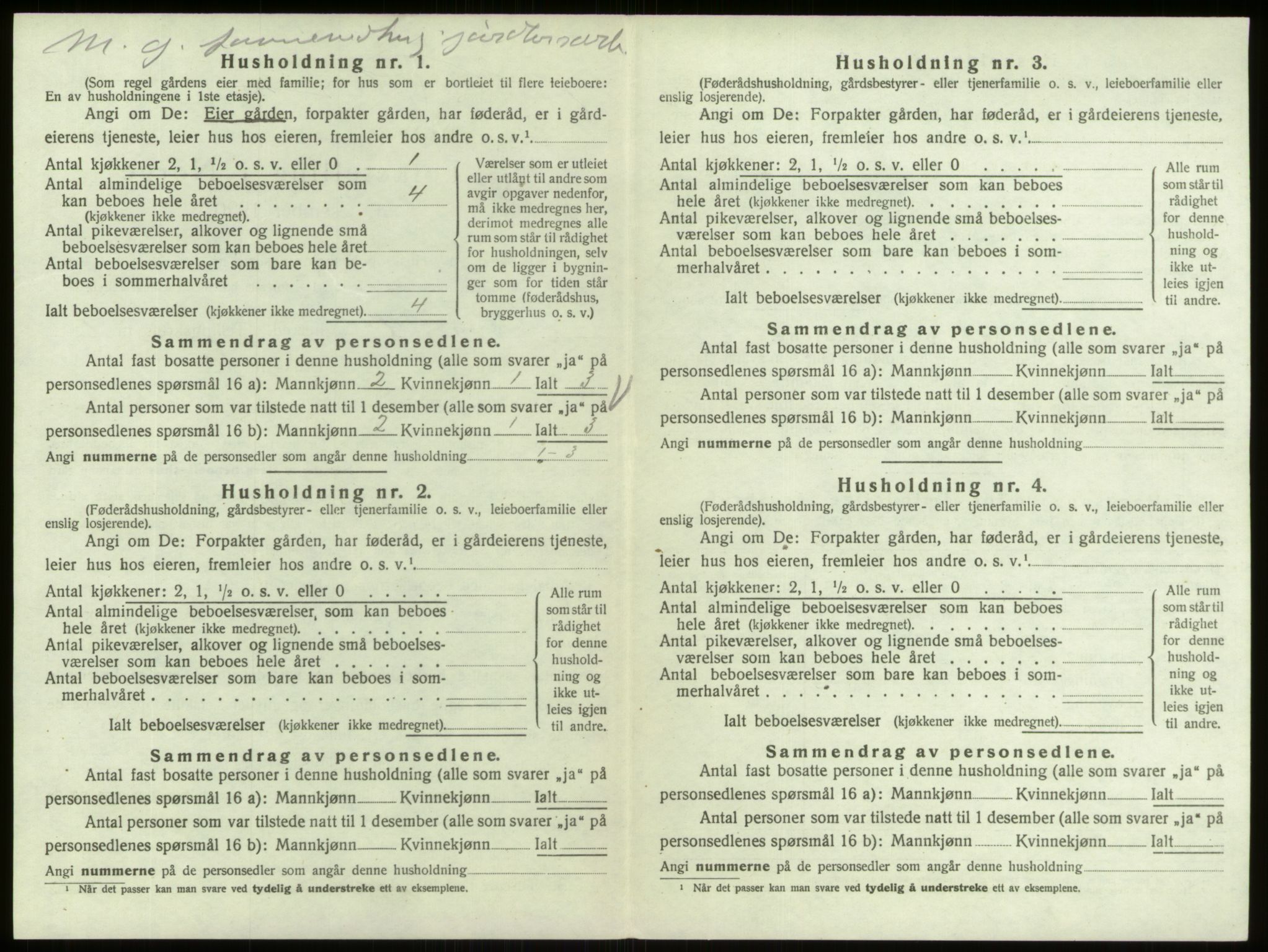 SAO, 1920 census for Berg, 1920, p. 246