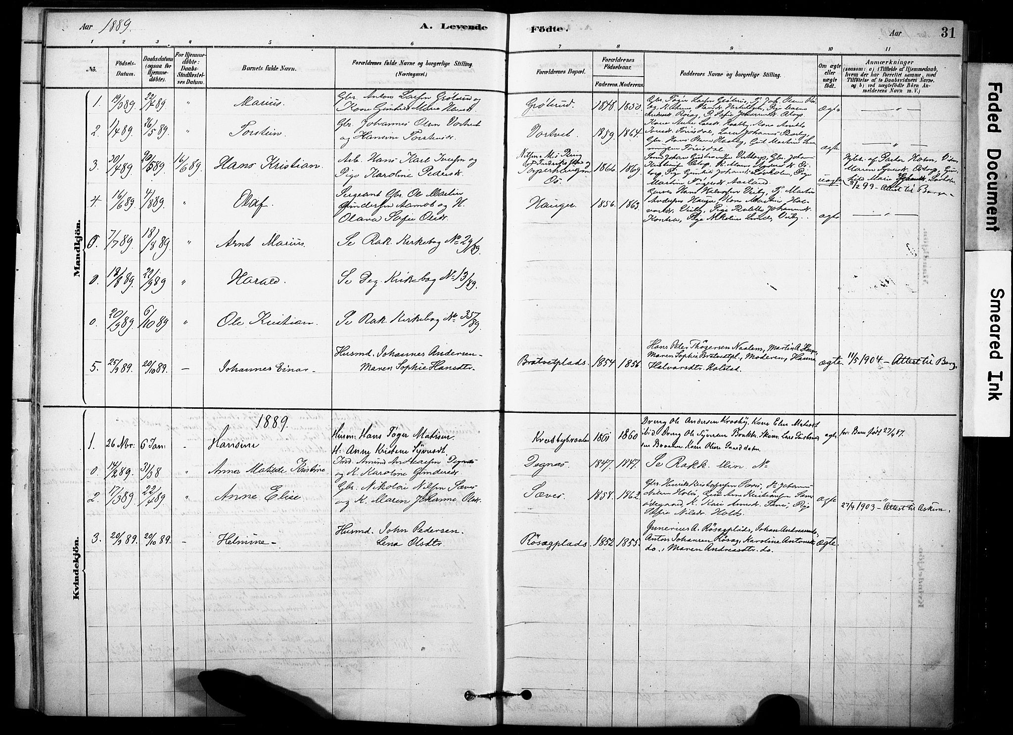 Rakkestad prestekontor Kirkebøker, AV/SAO-A-2008/F/Fc/L0001: Parish register (official) no. III 1, 1878-1905, p. 31