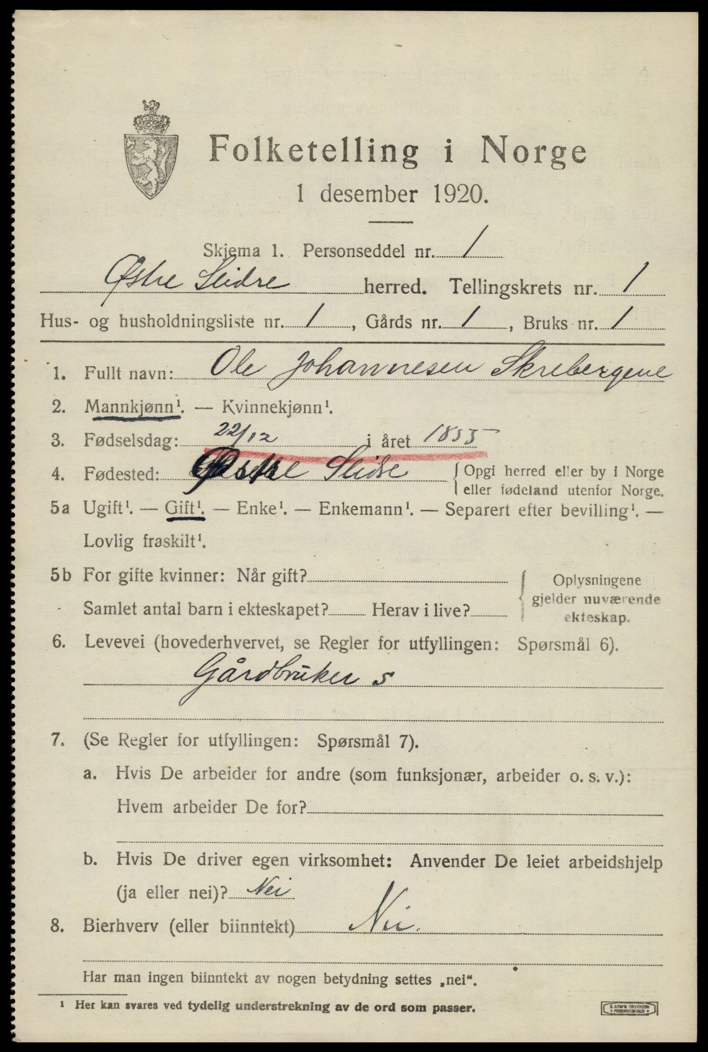 SAH, 1920 census for Øystre Slidre, 1920, p. 1003