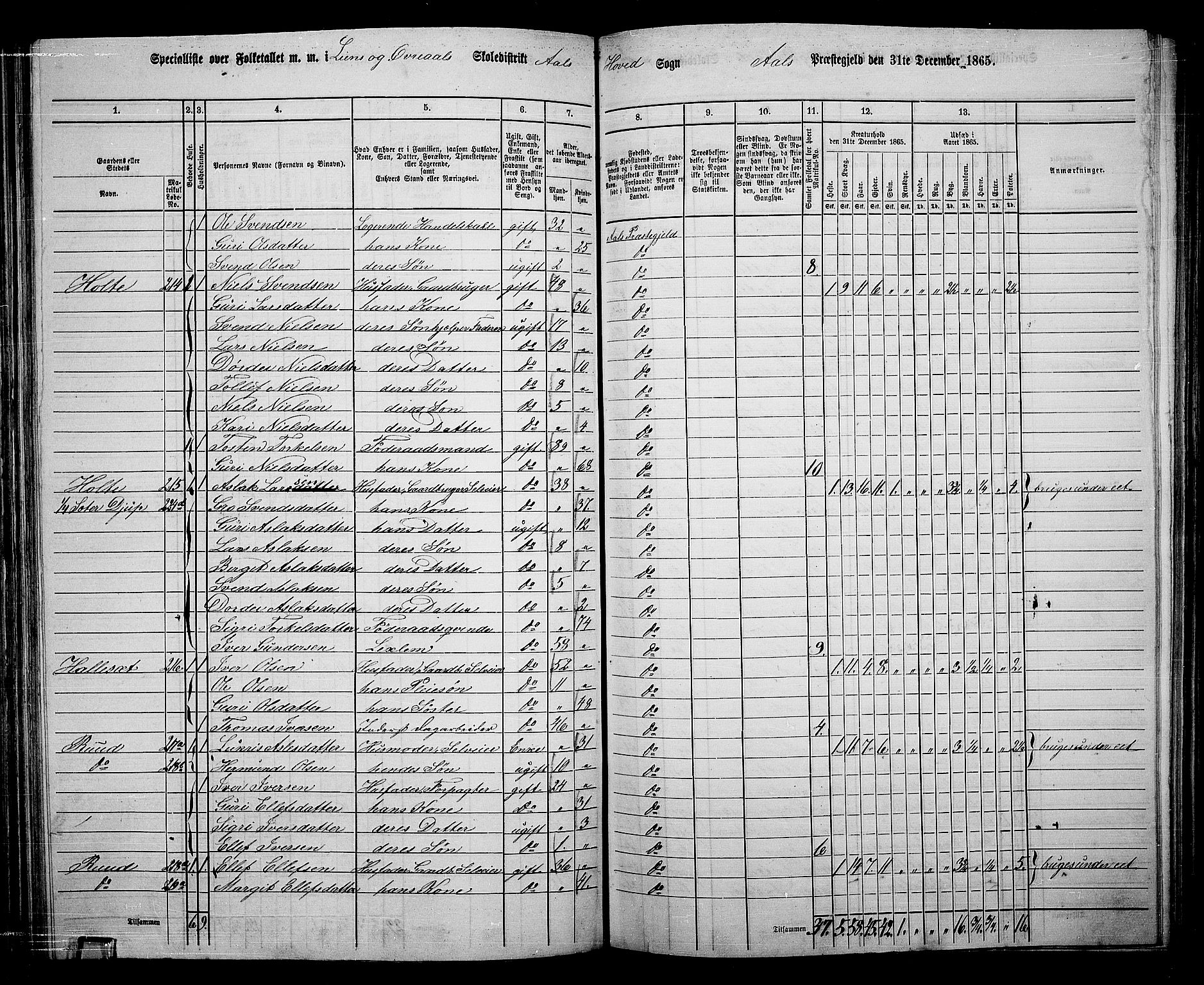 RA, 1865 census for Ål, 1865, p. 127