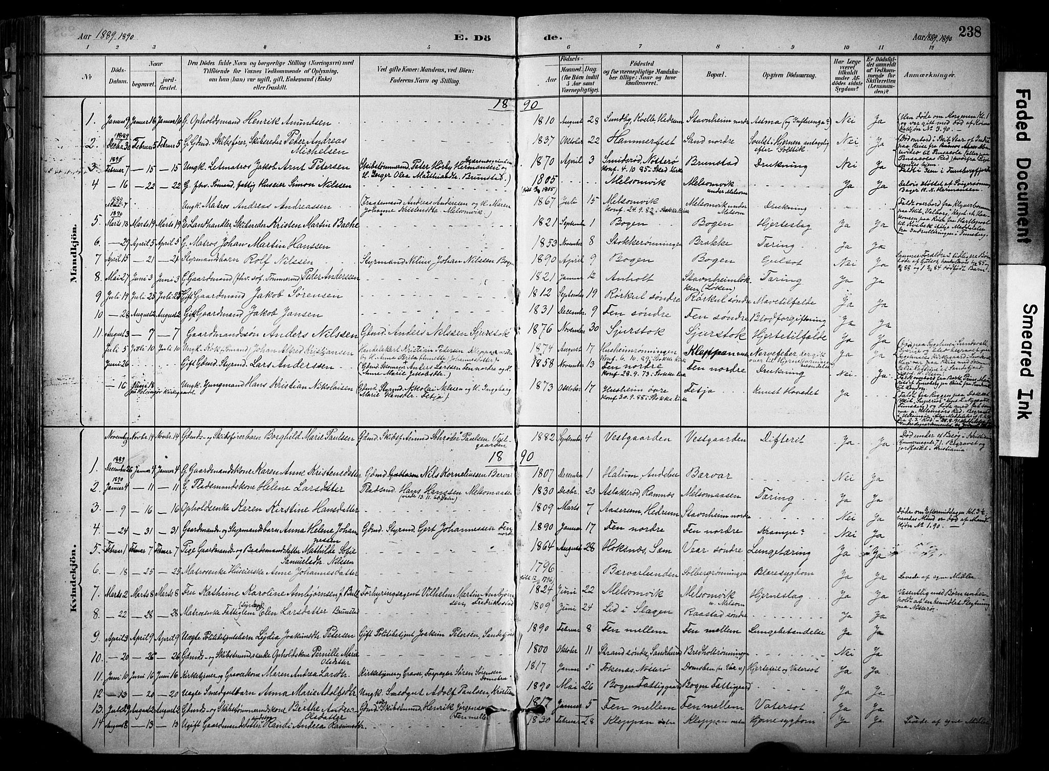 Stokke kirkebøker, SAKO/A-320/F/Fa/L0010: Parish register (official) no. I 10, 1884-1903, p. 238