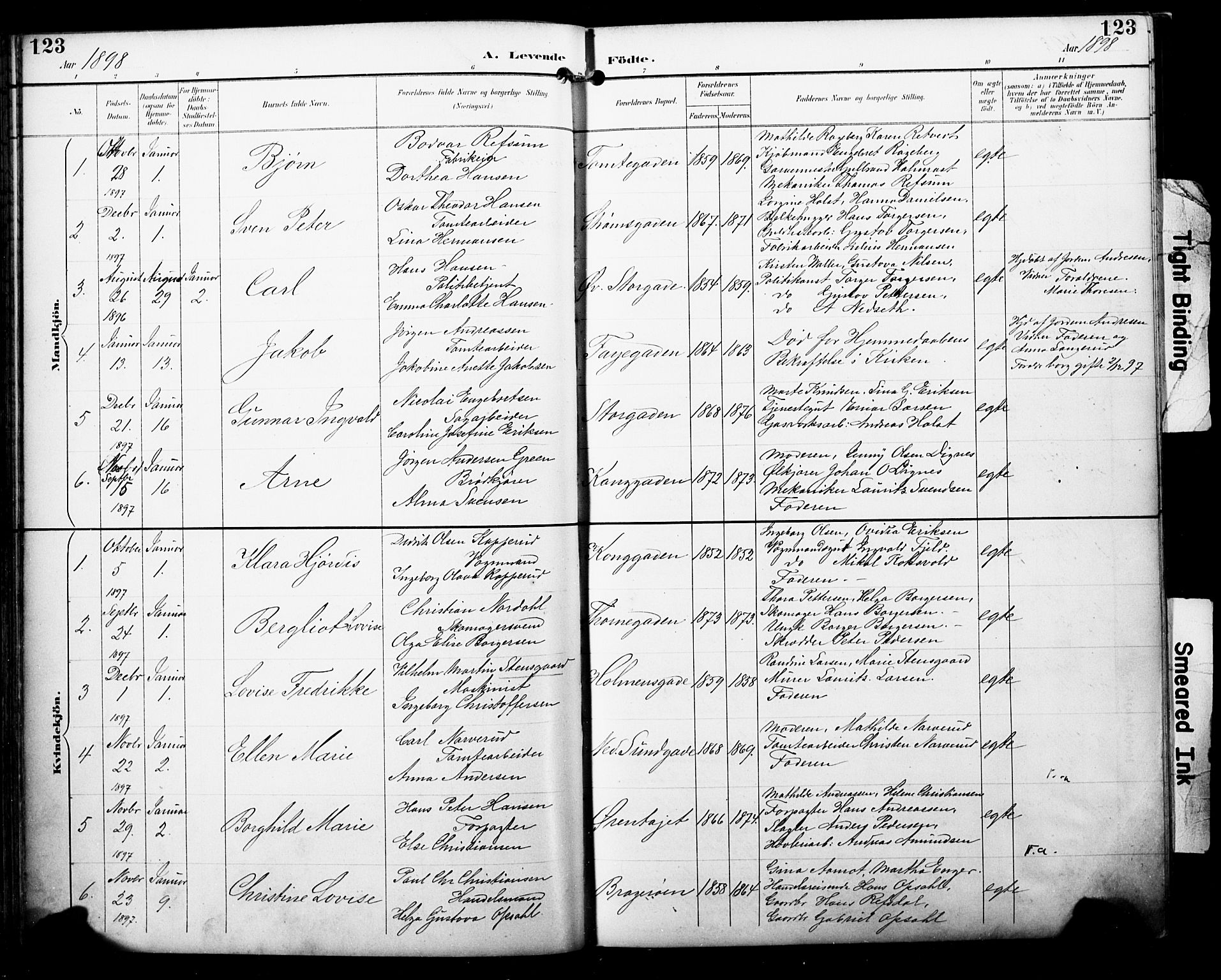 Bragernes kirkebøker, AV/SAKO-A-6/F/Fb/L0008: Parish register (official) no. II 8, 1894-1902, p. 123