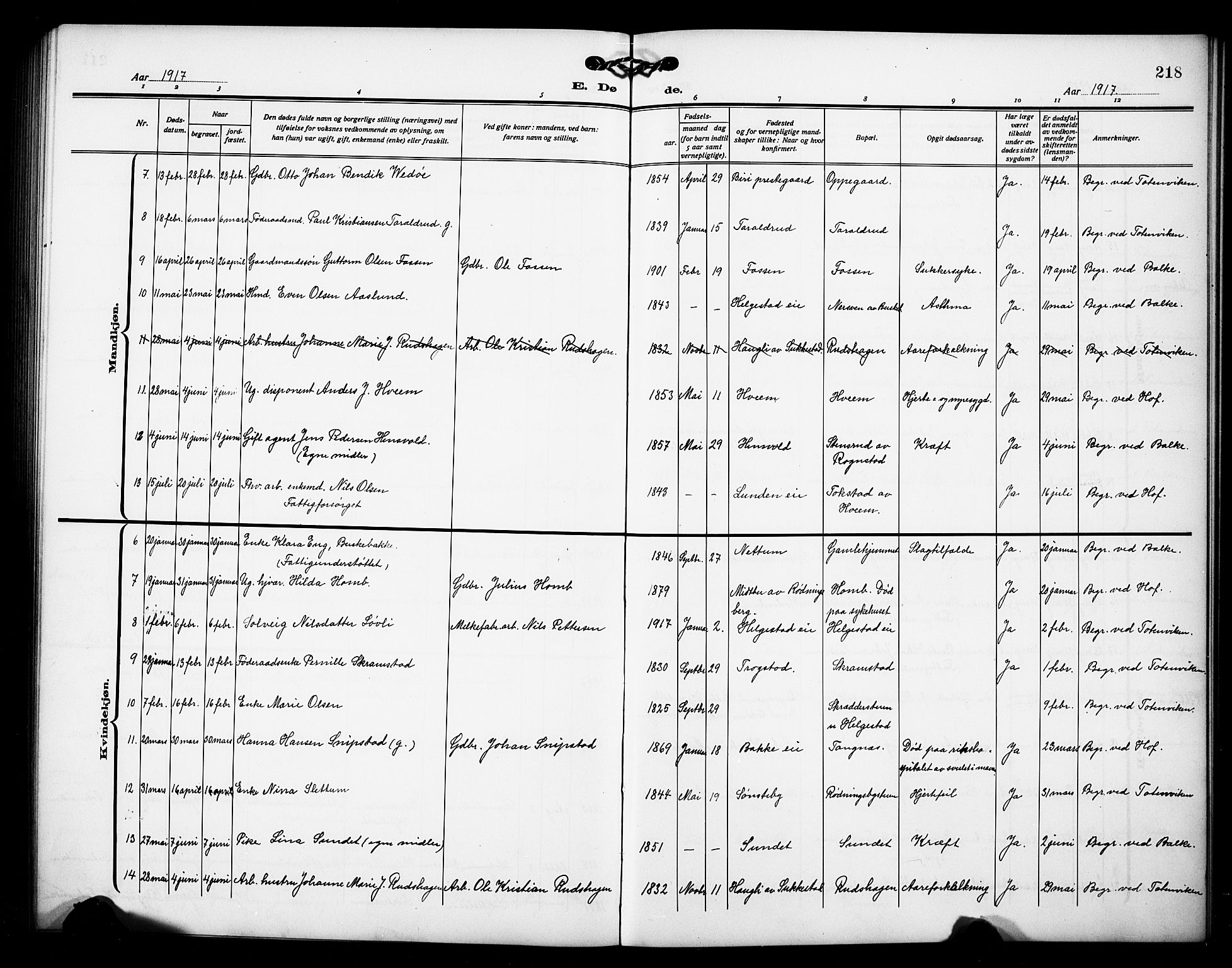 Østre Toten prestekontor, AV/SAH-PREST-104/H/Ha/Hab/L0008: Parish register (copy) no. 8, 1913-1929, p. 218