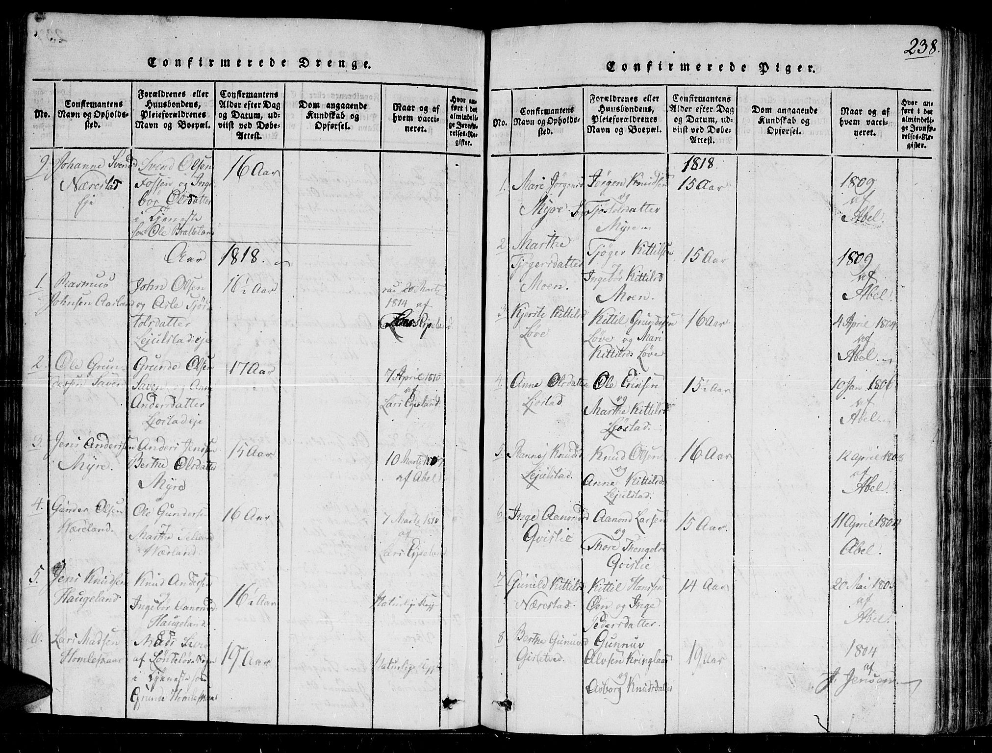 Gjerstad sokneprestkontor, AV/SAK-1111-0014/F/Fb/Fbb/L0001: Parish register (copy) no. B 1, 1813-1863, p. 238