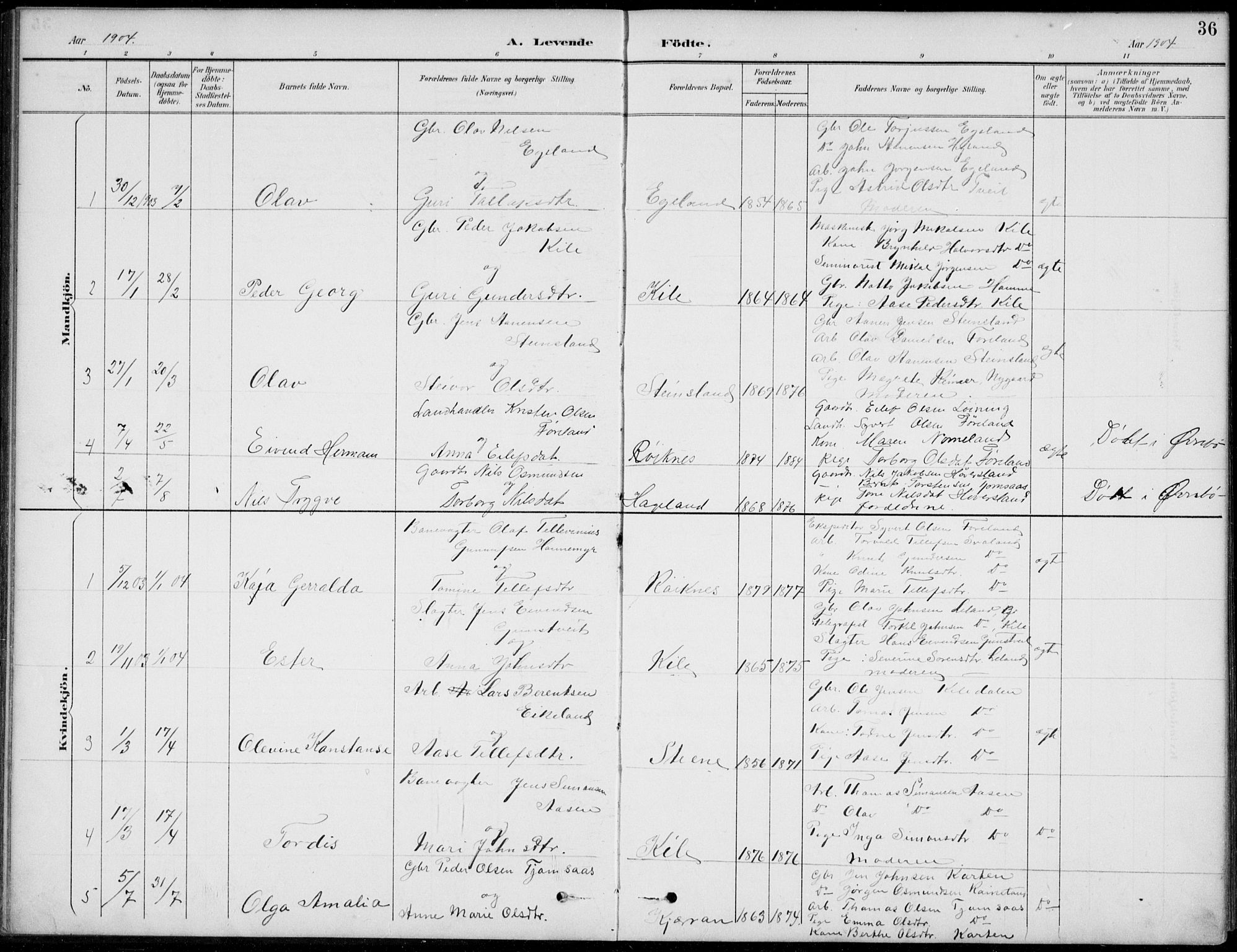 Vennesla sokneprestkontor, AV/SAK-1111-0045/Fb/Fba/L0003: Parish register (copy) no. B 3, 1890-1919, p. 36