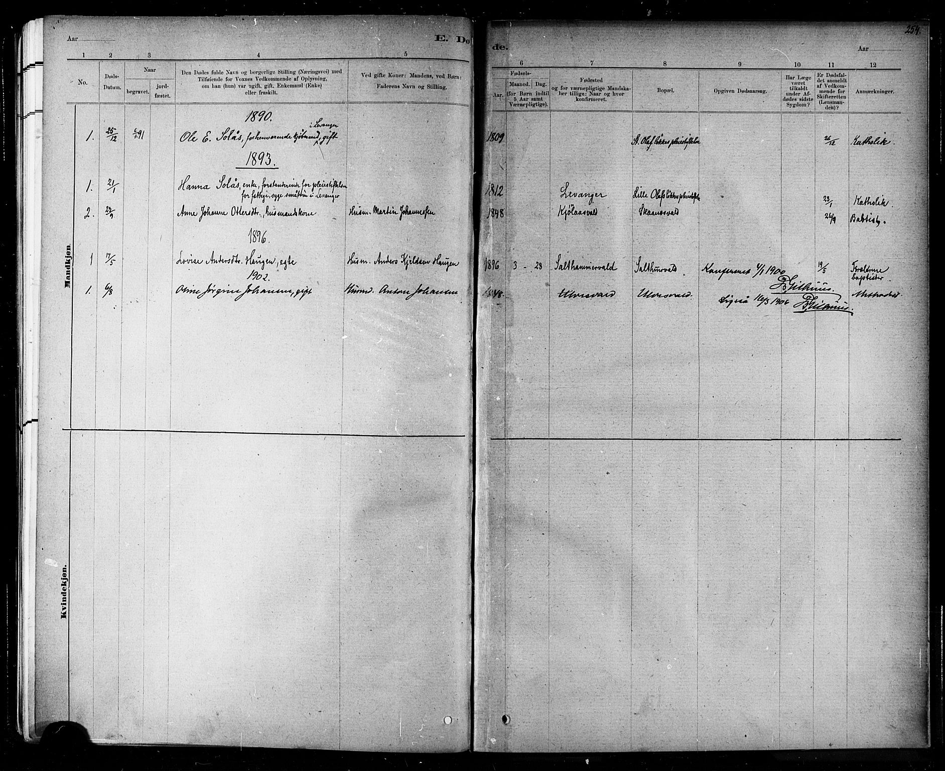 Ministerialprotokoller, klokkerbøker og fødselsregistre - Nord-Trøndelag, SAT/A-1458/721/L0208: Parish register (copy) no. 721C01, 1880-1917, p. 254