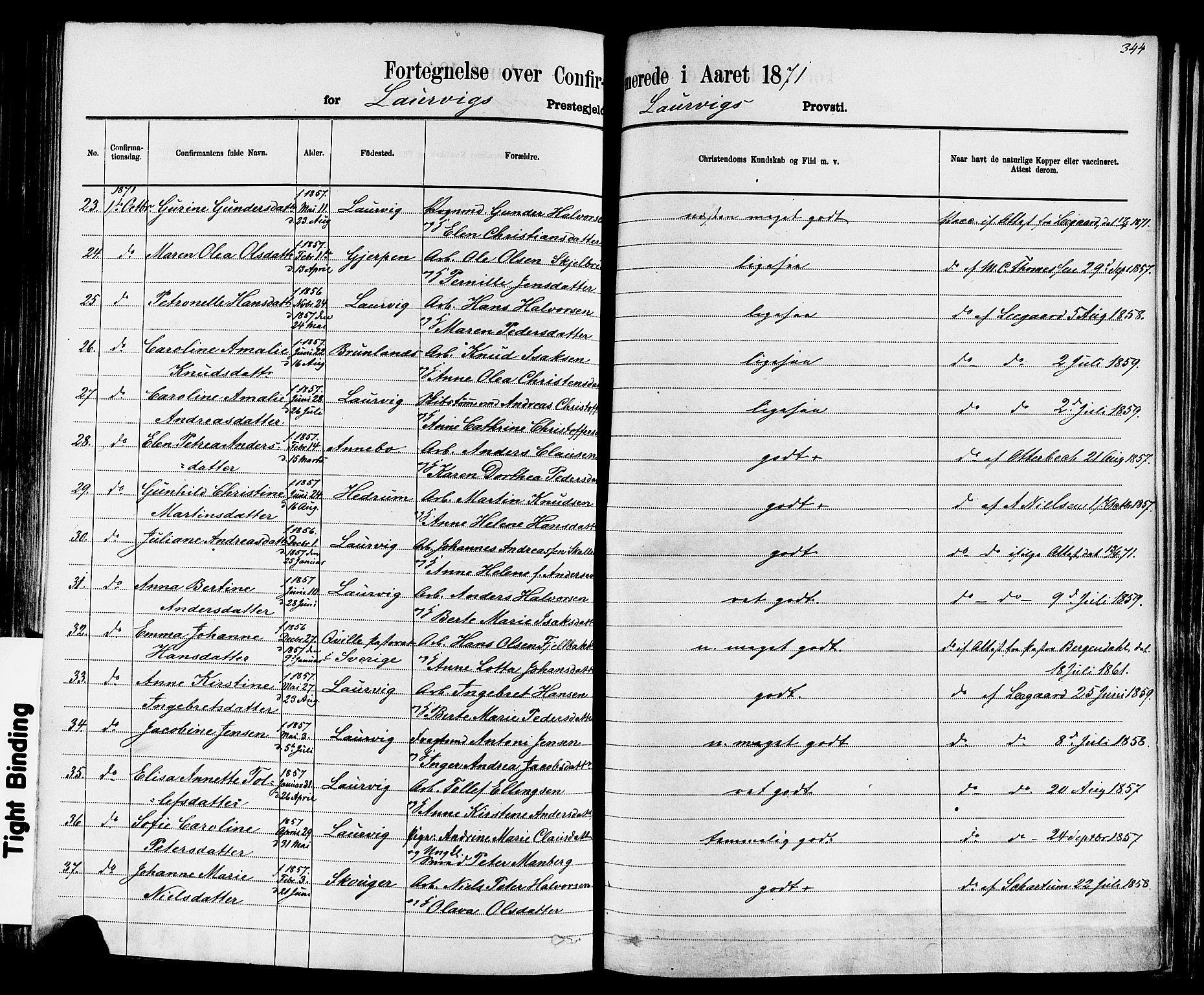 Larvik kirkebøker, AV/SAKO-A-352/F/Fa/L0006: Parish register (official) no. I 6, 1871-1883, p. 344