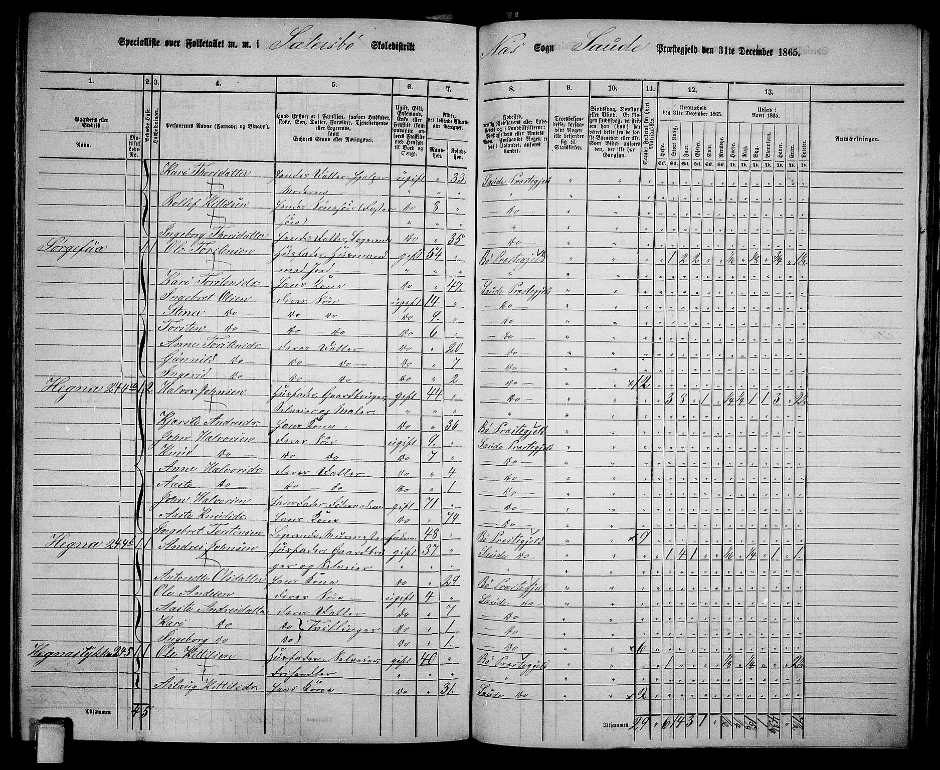 RA, 1865 census for Sauherad, 1865, p. 143