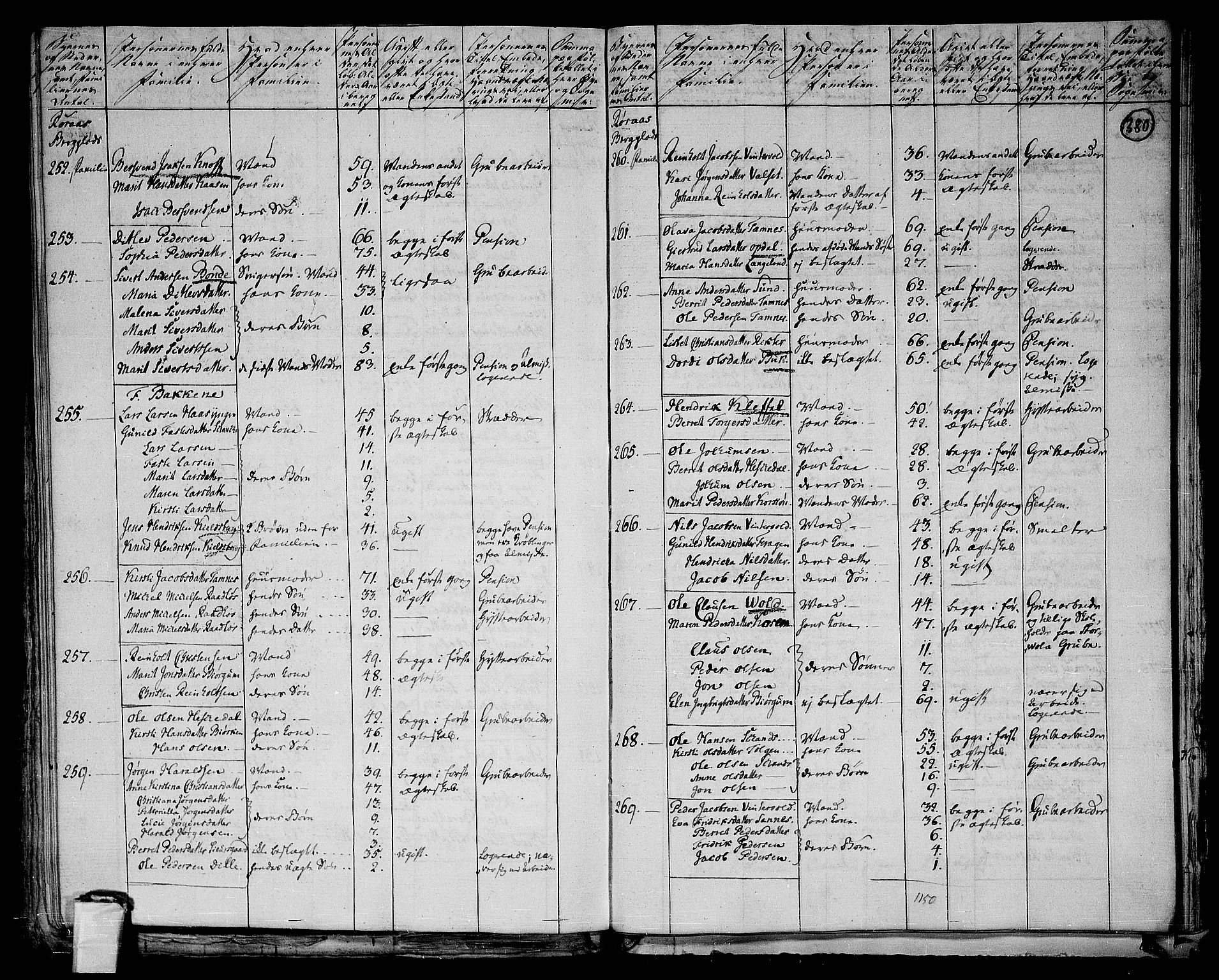 RA, 1801 census for 1640P Røros, 1801, p. 379b-380a