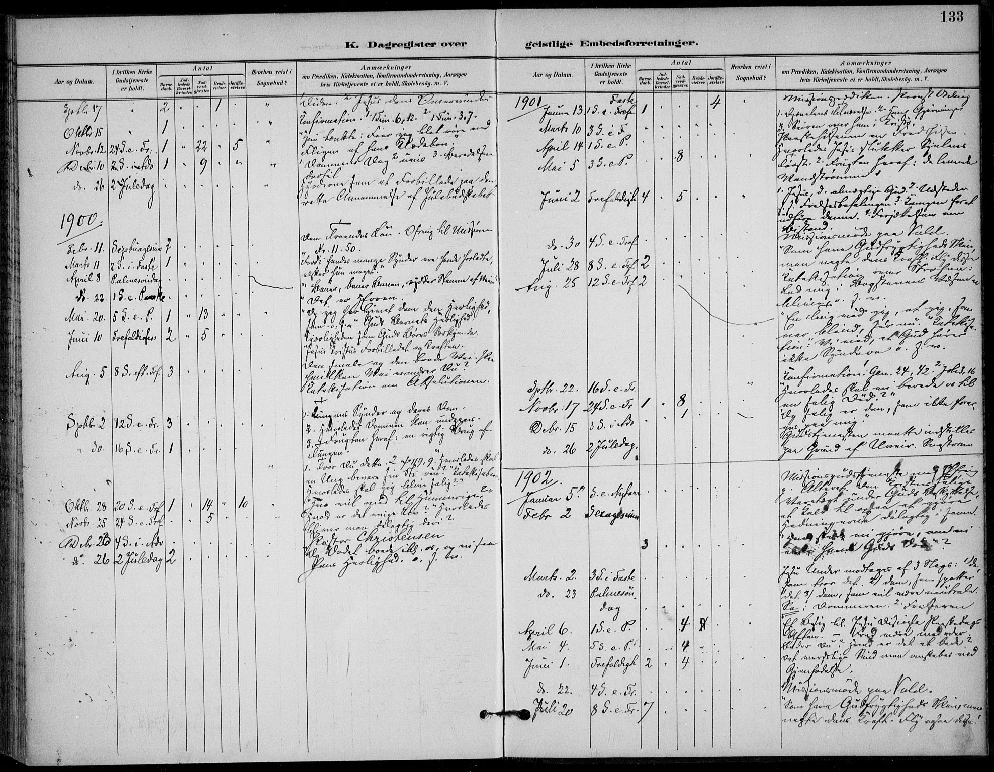 Solum kirkebøker, SAKO/A-306/F/Fc/L0002: Parish register (official) no. III 2, 1892-1906, p. 133