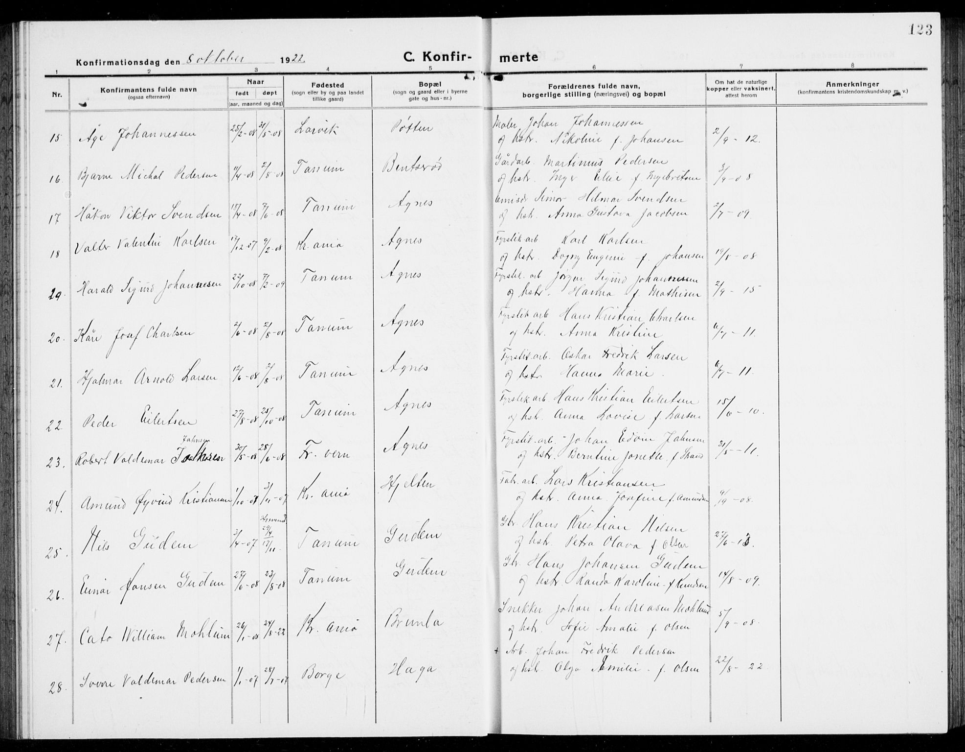 Brunlanes kirkebøker, AV/SAKO-A-342/G/Ga/L0005: Parish register (copy) no. I 5, 1918-1941, p. 123