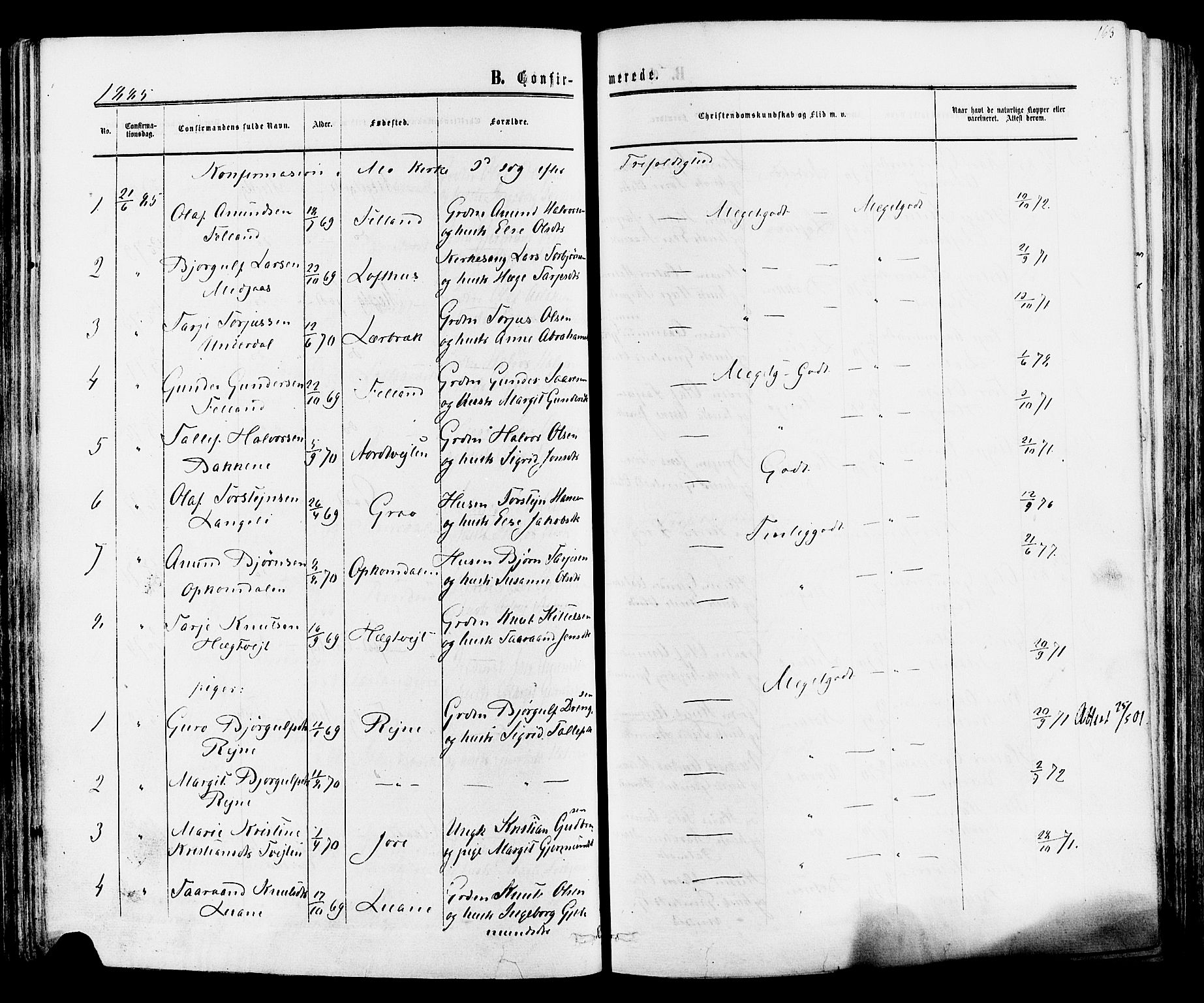 Mo kirkebøker, AV/SAKO-A-286/F/Fa/L0006: Parish register (official) no. I 6, 1865-1885, p. 163