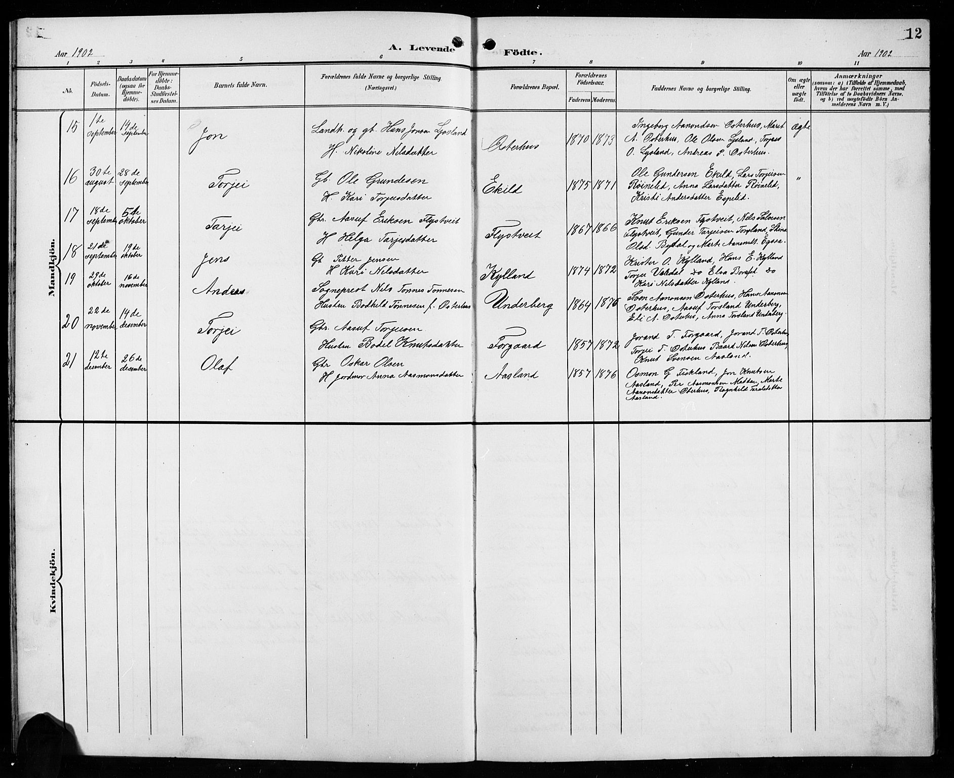 Åseral sokneprestkontor, AV/SAK-1111-0051/F/Fb/L0003: Parish register (copy) no. B 3, 1900-1919, p. 12