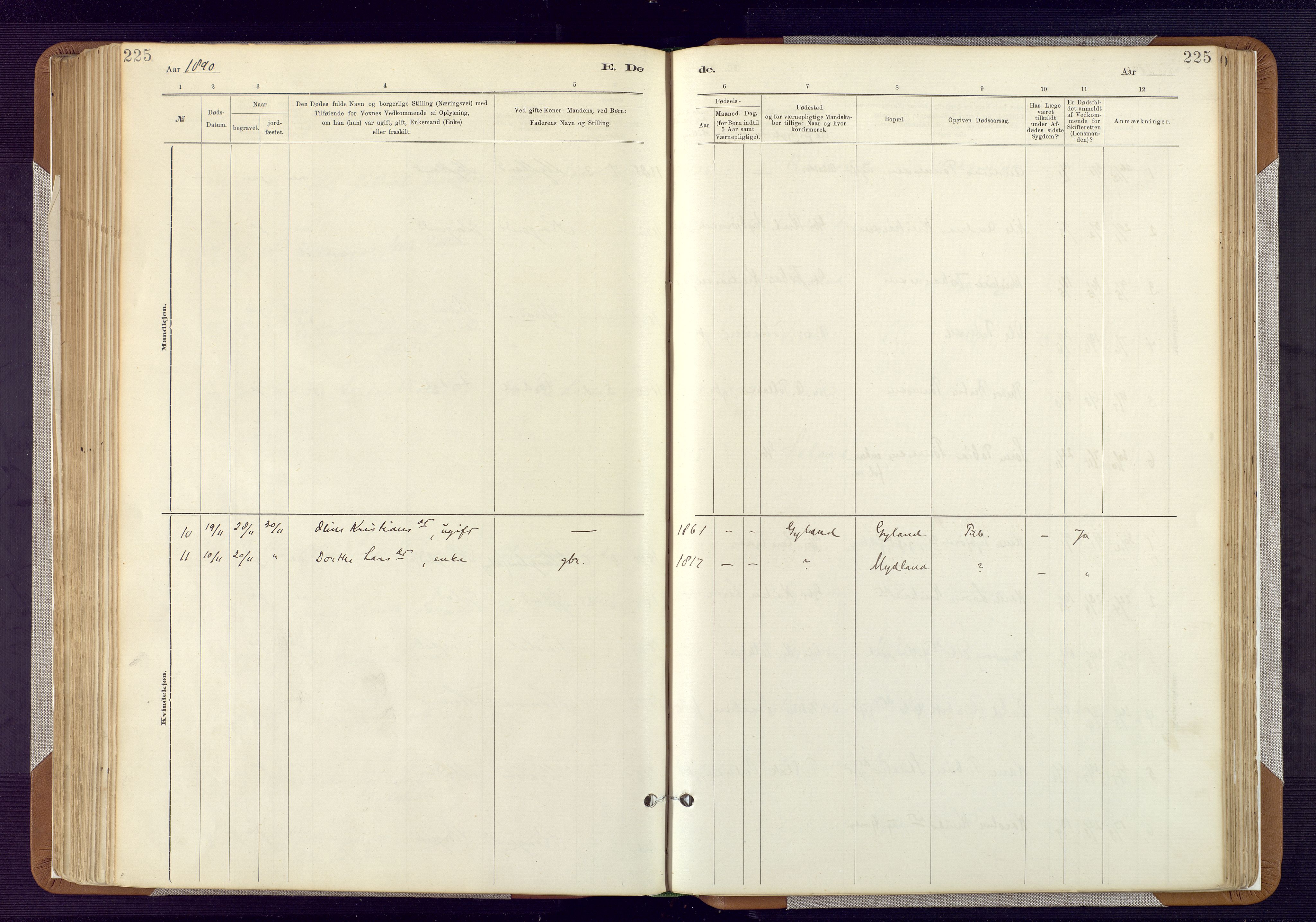 Bakke sokneprestkontor, AV/SAK-1111-0002/F/Fa/Fab/L0003: Parish register (official) no. A 3, 1884-1921, p. 225