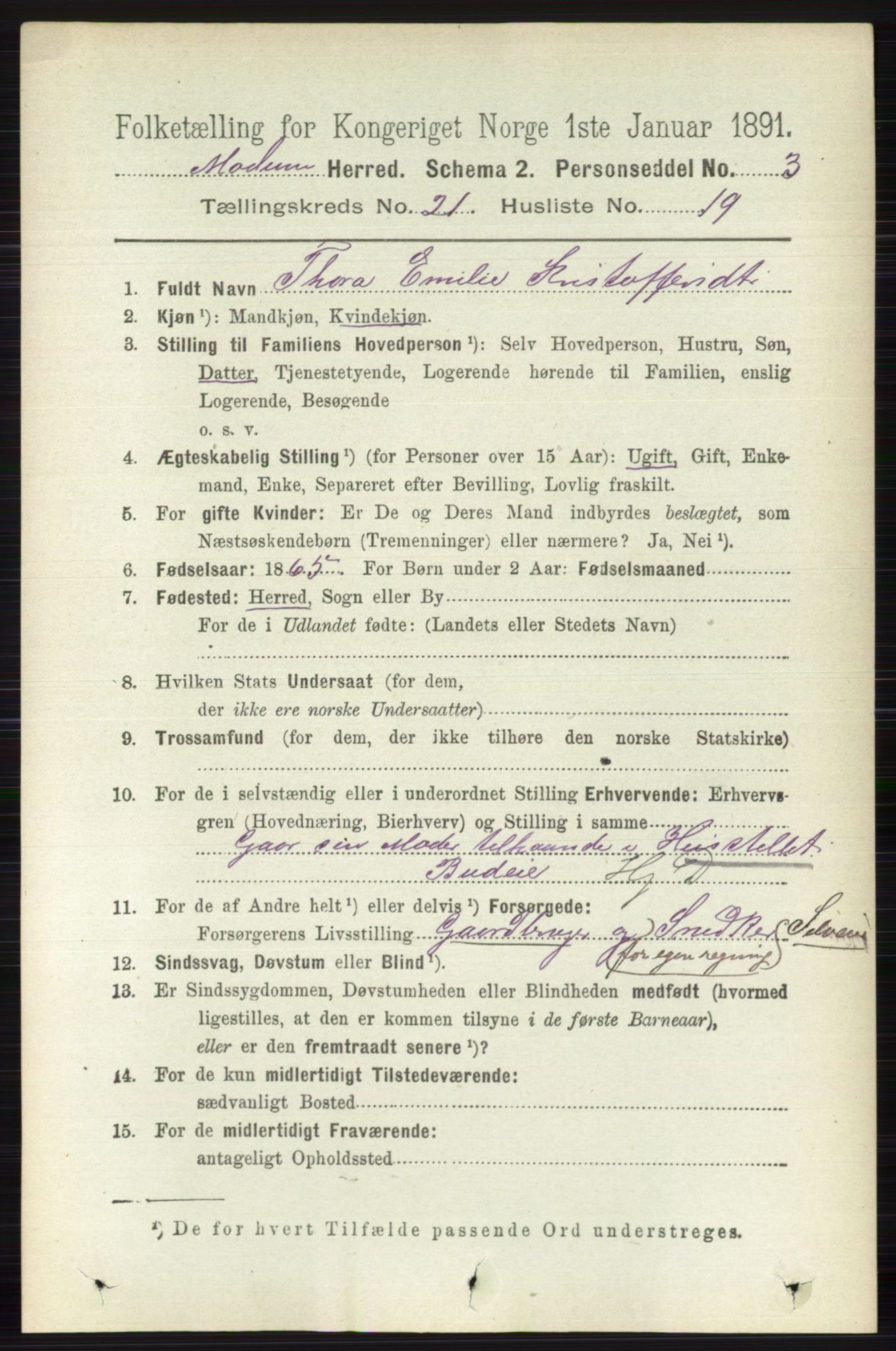 RA, 1891 census for 0623 Modum, 1891, p. 8215