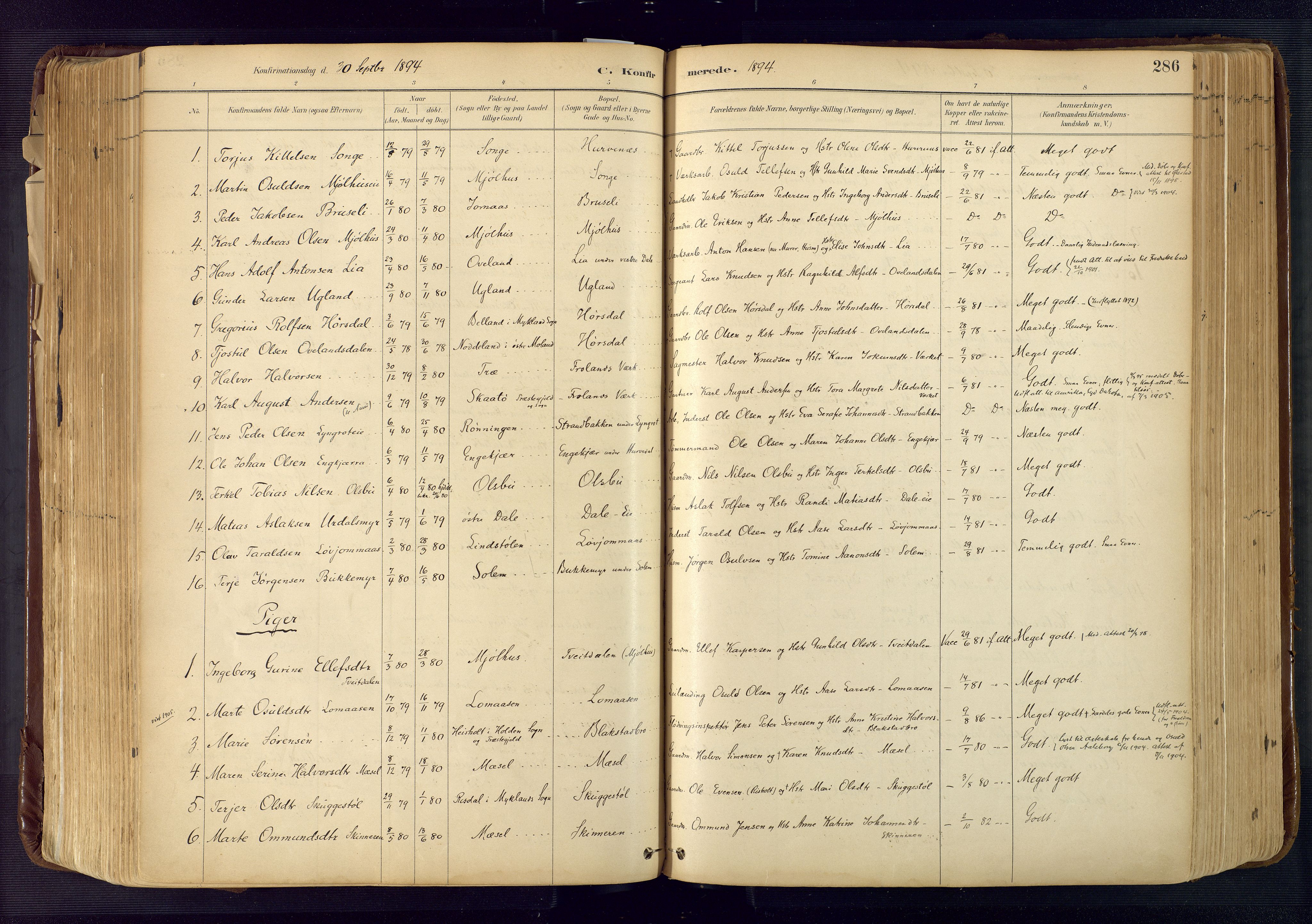 Froland sokneprestkontor, SAK/1111-0013/F/Fa/L0005: Parish register (official) no. A 5, 1882-1921, p. 286
