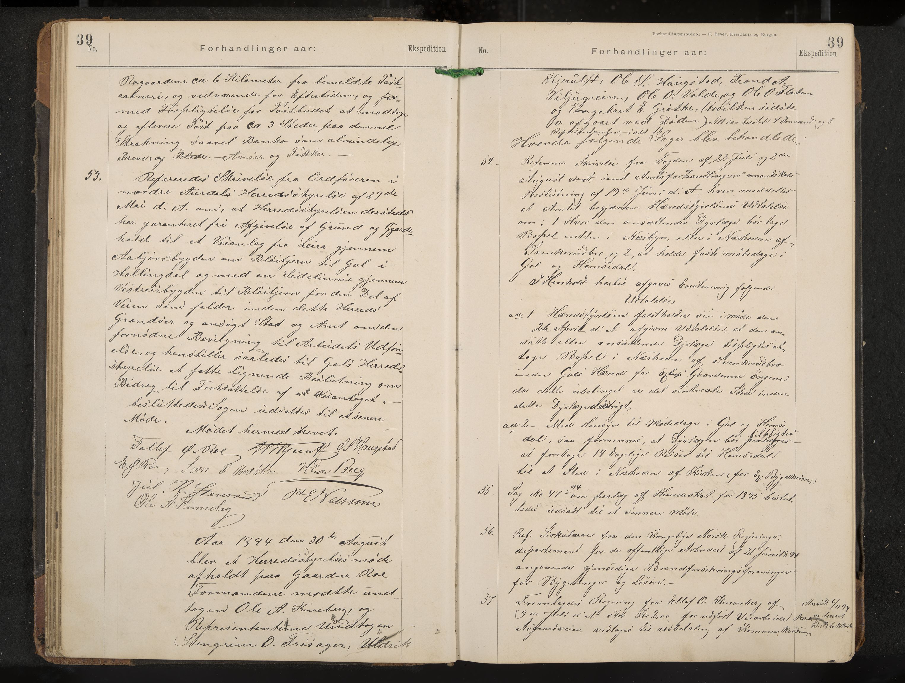 Gol formannskap og sentraladministrasjon, IKAK/0617021-1/A/Aa/L0003: Møtebok, 1892-1905, p. 39