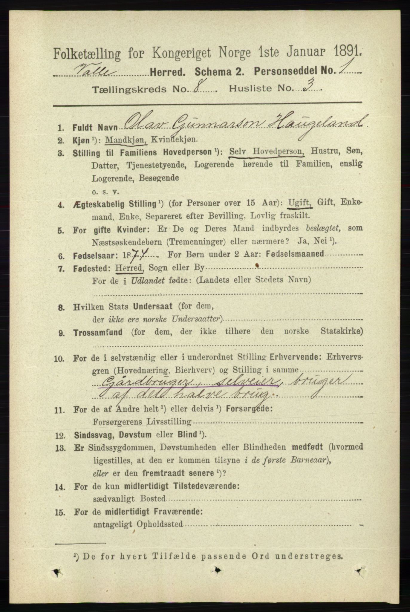 RA, 1891 census for 0940 Valle, 1891, p. 2247