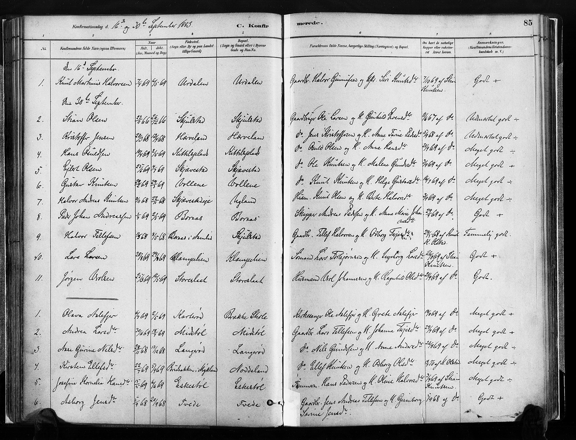 Austre Moland sokneprestkontor, SAK/1111-0001/F/Fa/Faa/L0010: Parish register (official) no. A 10, 1880-1904, p. 85