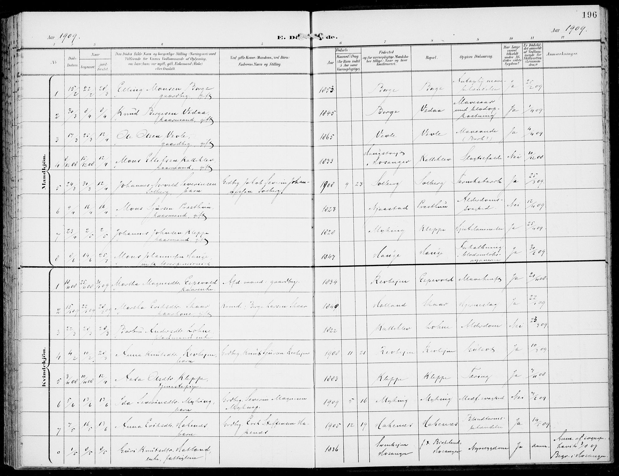 Haus sokneprestembete, AV/SAB-A-75601/H/Haa: Parish register (official) no. C  2, 1900-1915, p. 196