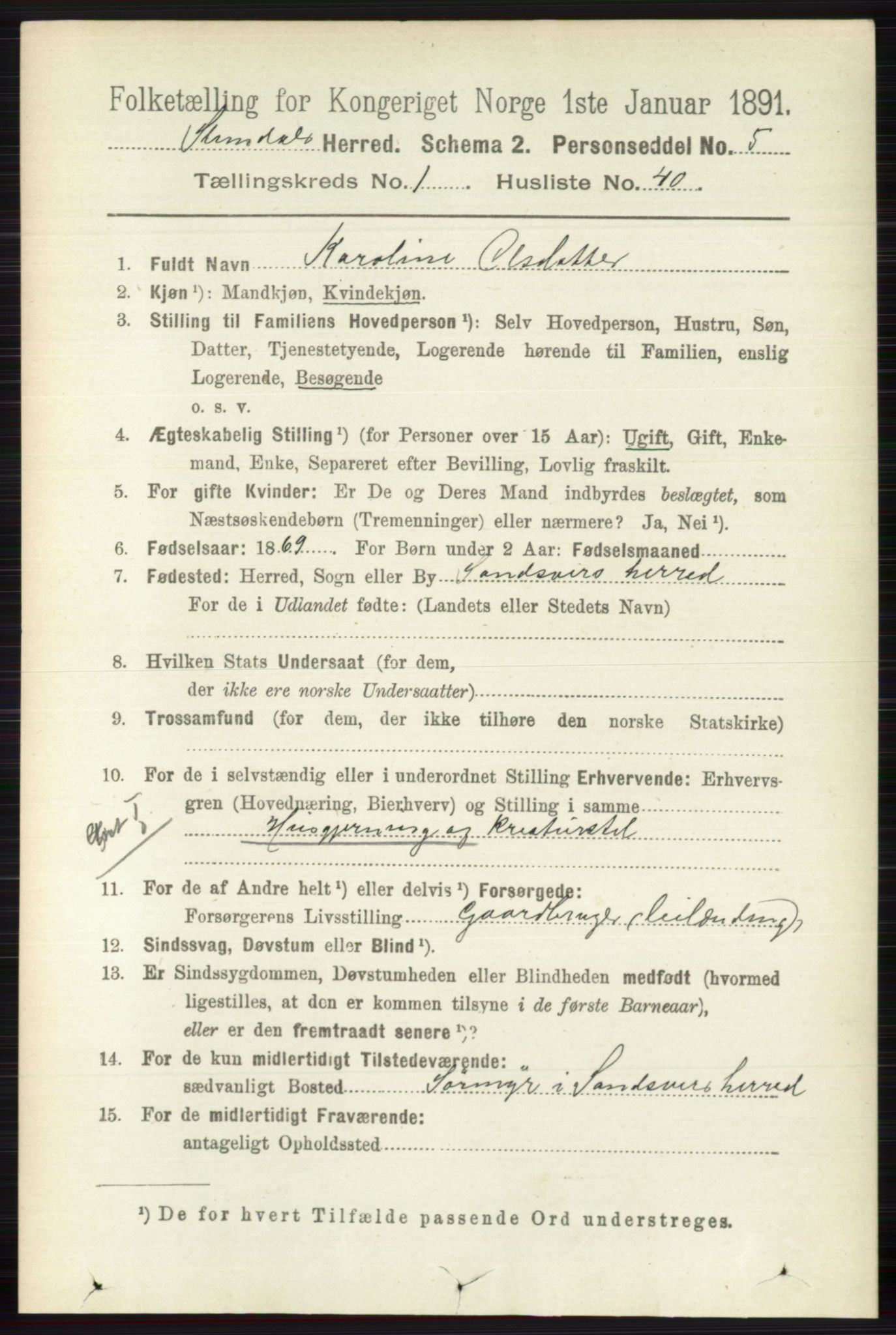 RA, 1891 census for 0811 Slemdal, 1891, p. 301