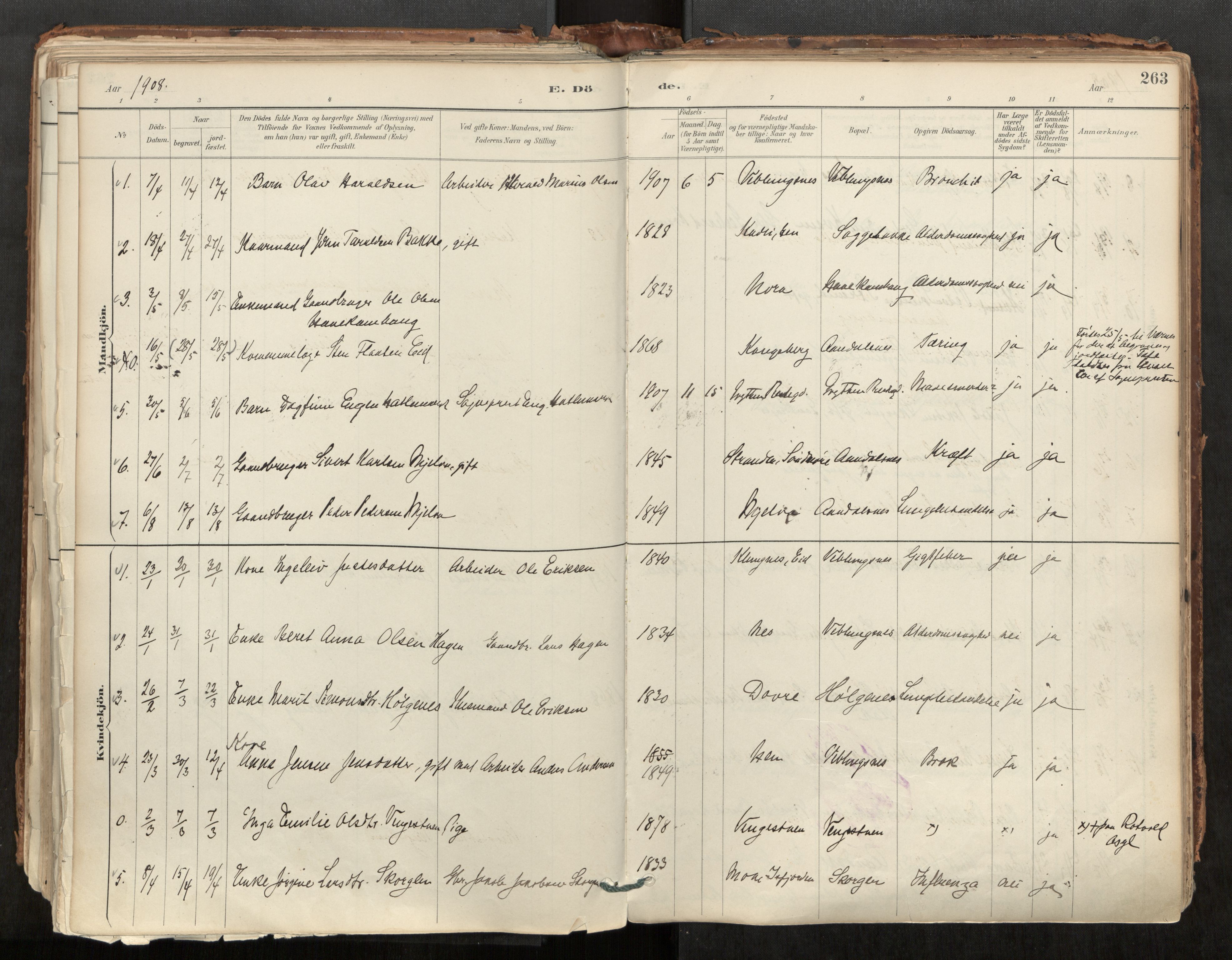 Ministerialprotokoller, klokkerbøker og fødselsregistre - Møre og Romsdal, AV/SAT-A-1454/544/L0585: Parish register (official) no. 544A06, 1887-1924, p. 263