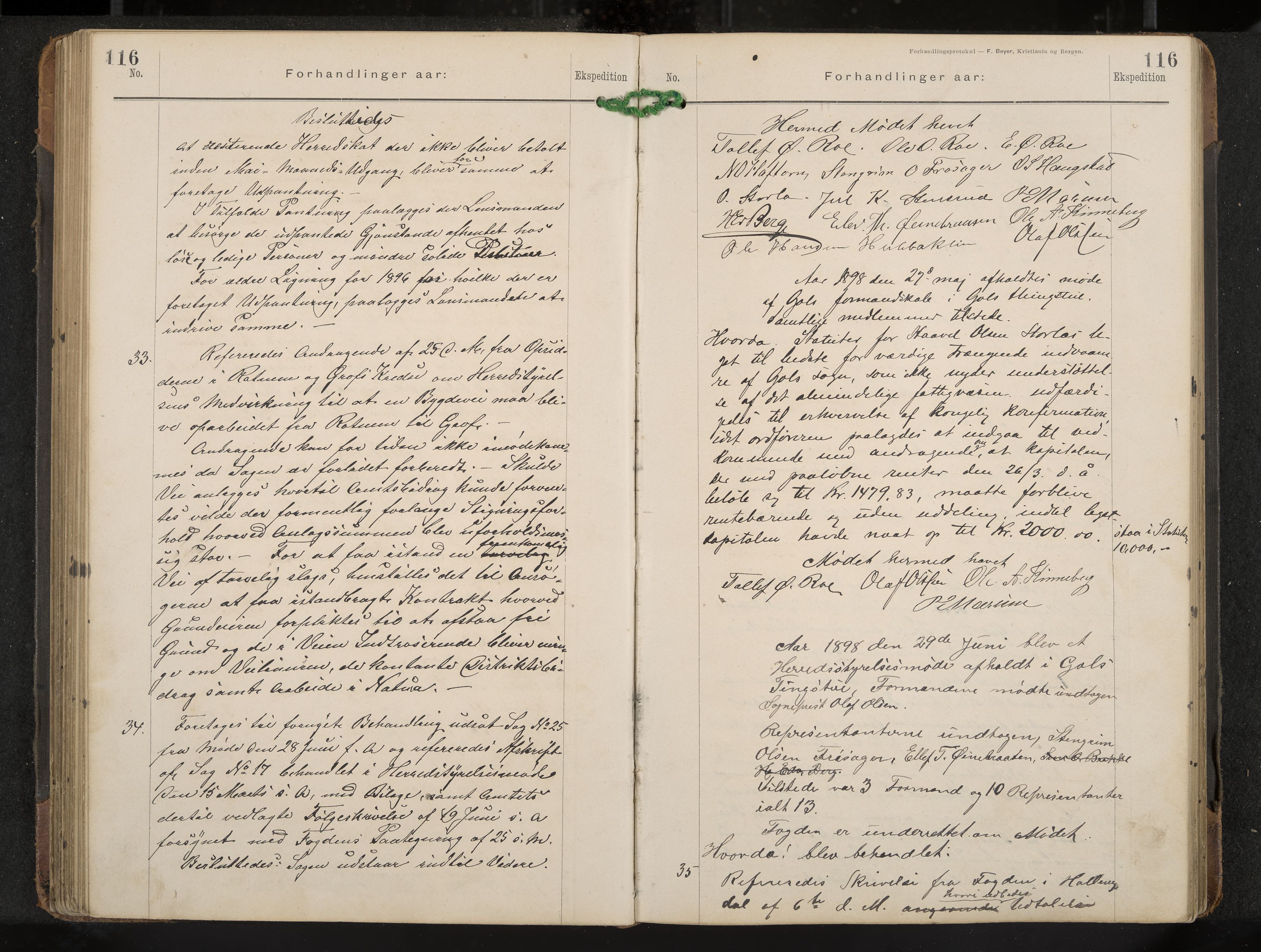 Gol formannskap og sentraladministrasjon, IKAK/0617021-1/A/Aa/L0003: Møtebok, 1892-1905, p. 116