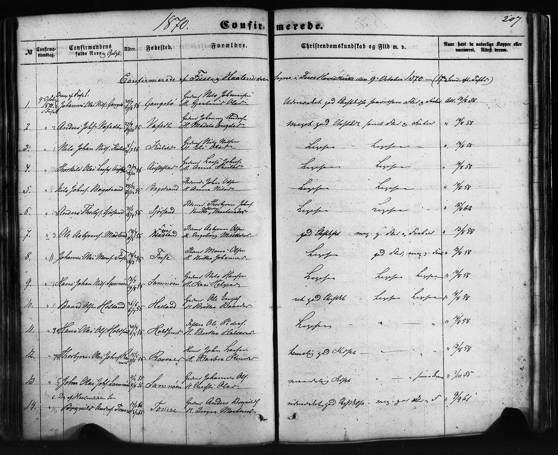 Fusa sokneprestembete, AV/SAB-A-75401/H/Haa: Parish register (official) no. A 1I, 1855-1879, p. 207