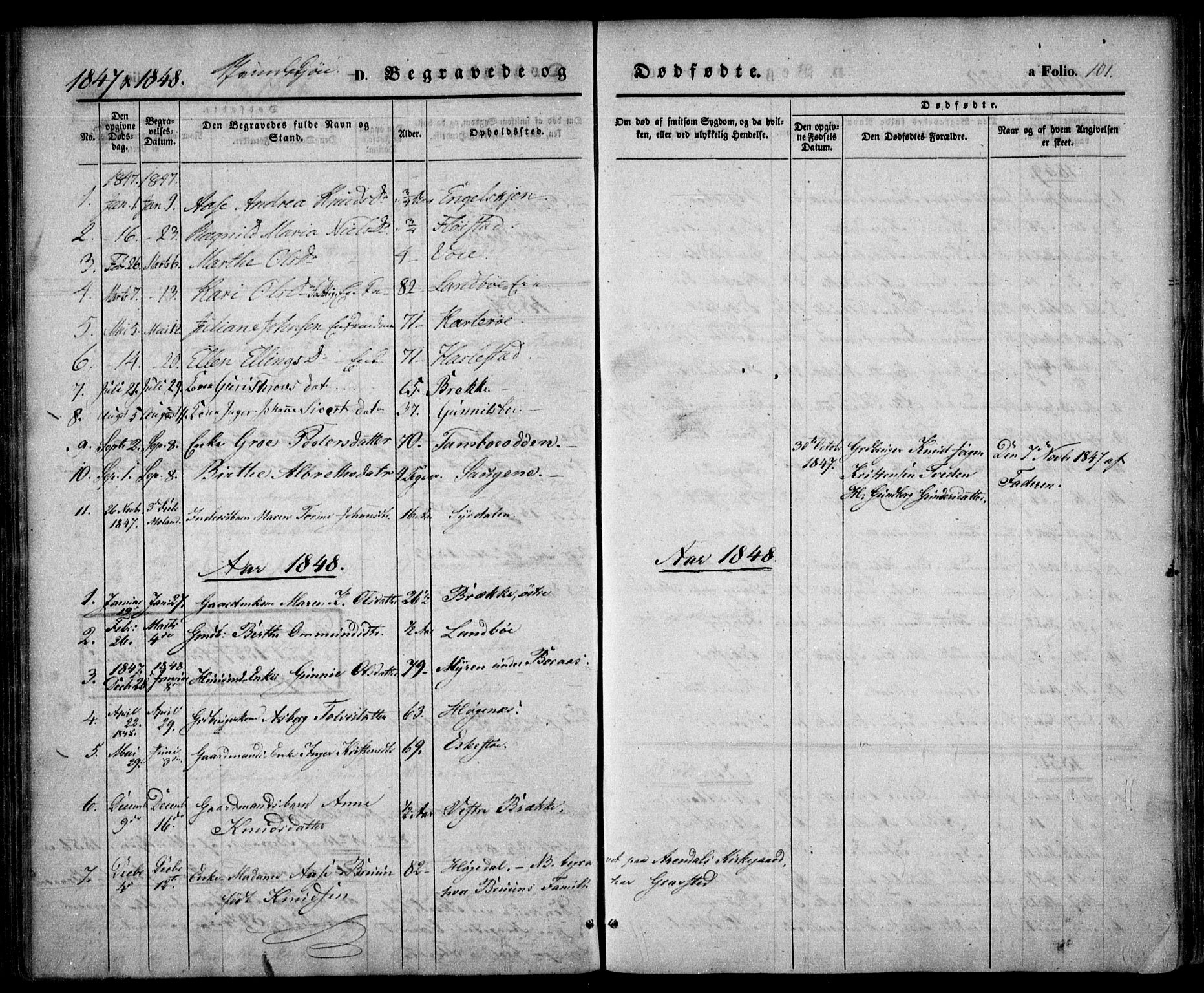 Austre Moland sokneprestkontor, SAK/1111-0001/F/Fa/Faa/L0007: Parish register (official) no. A 7, 1847-1857, p. 101