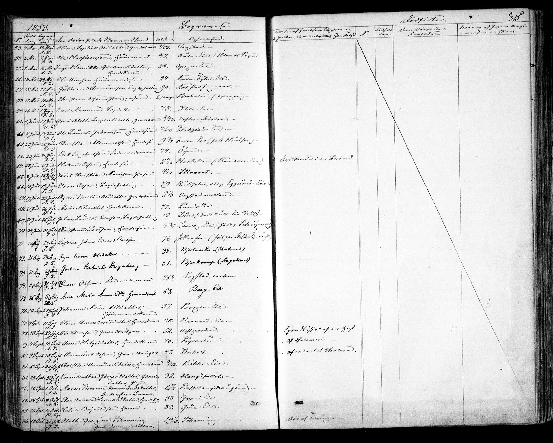 Nes prestekontor Kirkebøker, AV/SAO-A-10410/F/Fa/L0007: Parish register (official) no. I 7, 1846-1858, p. 315