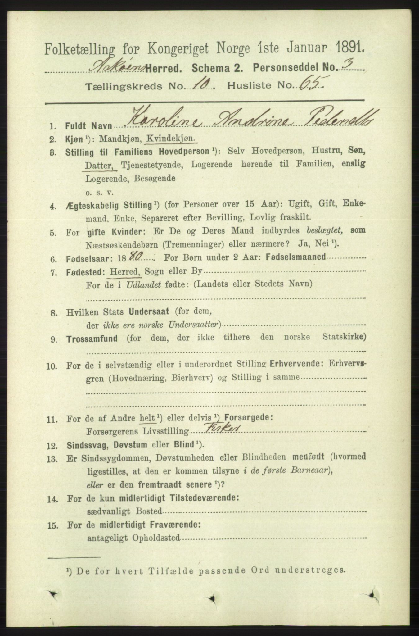 RA, 1891 census for 1247 Askøy, 1891, p. 6766