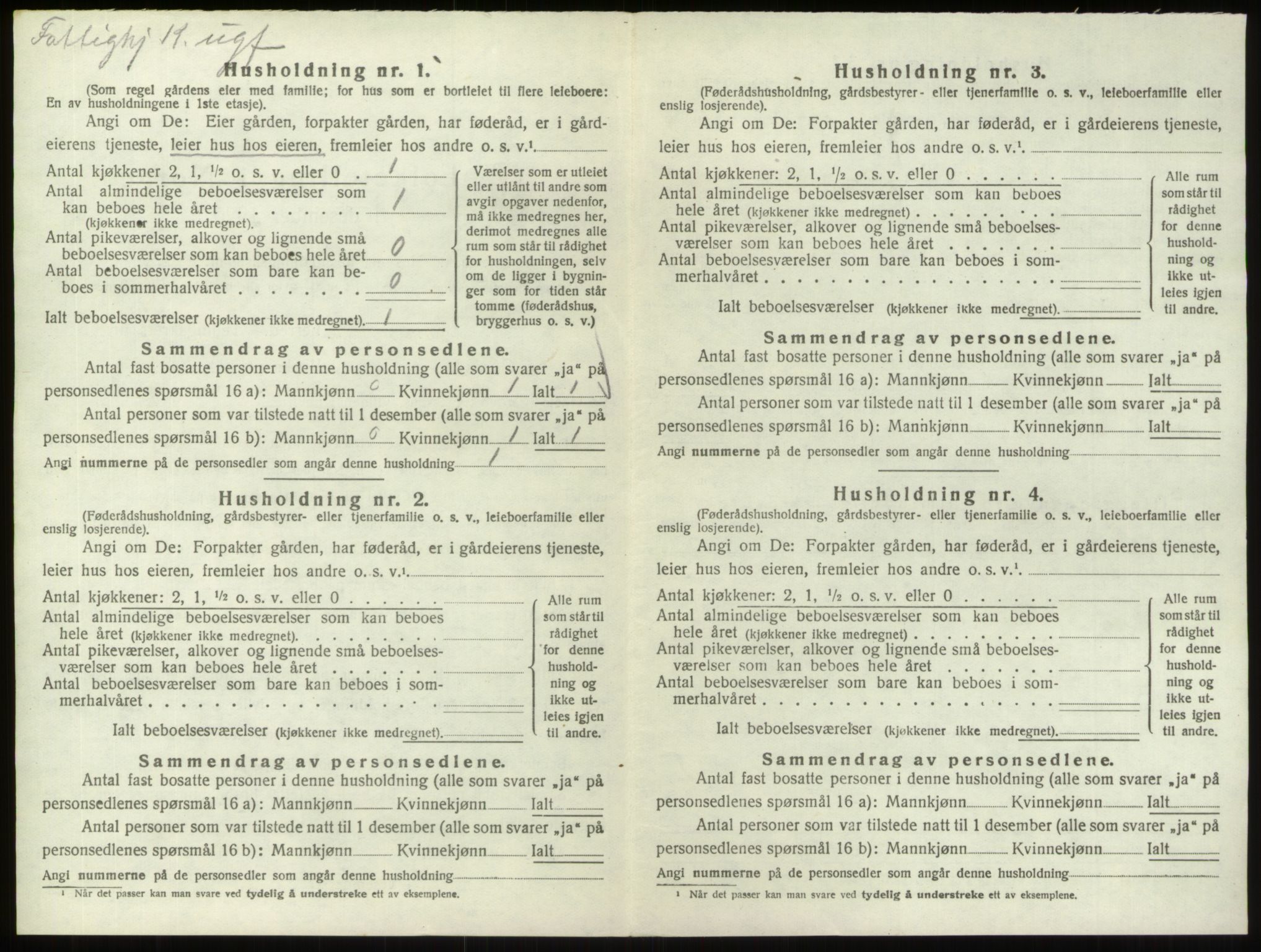 SAO, 1920 census for Hvaler, 1920, p. 991