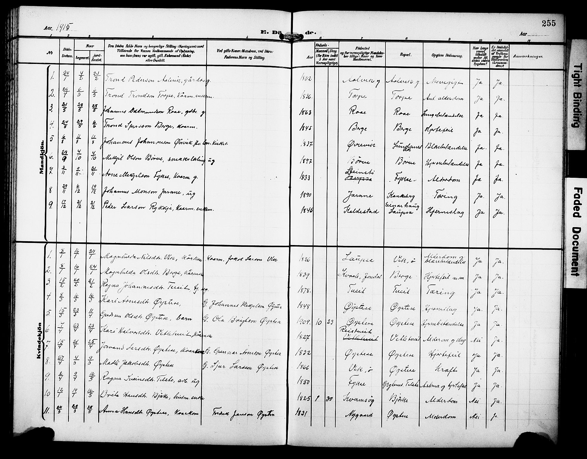 Kvam sokneprestembete, SAB/A-76201/H/Hab: Parish register (copy) no. C 4, 1906-1931, p. 255