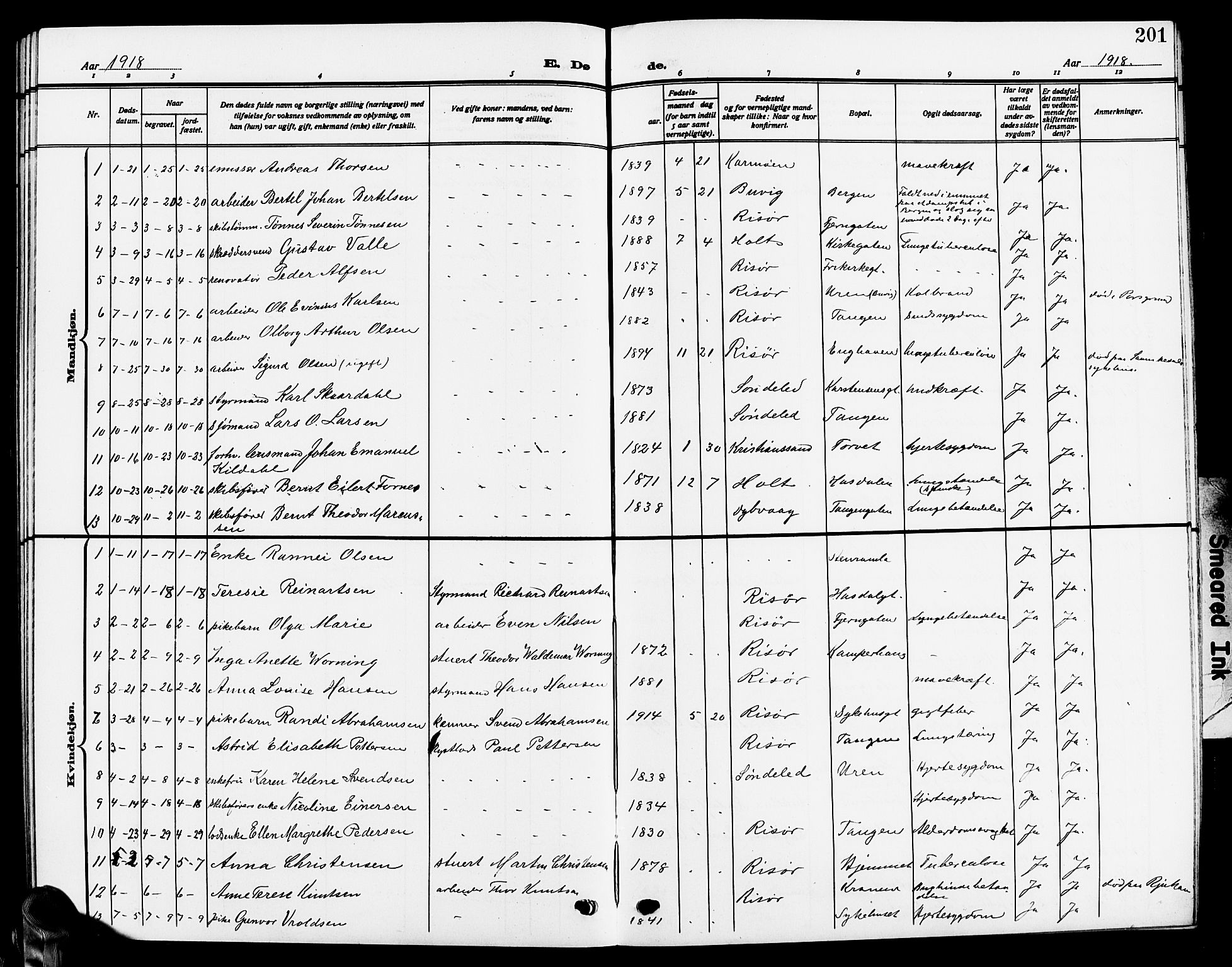 Risør sokneprestkontor, SAK/1111-0035/F/Fb/L0008: Parish register (copy) no. B 8, 1909-1921, p. 201
