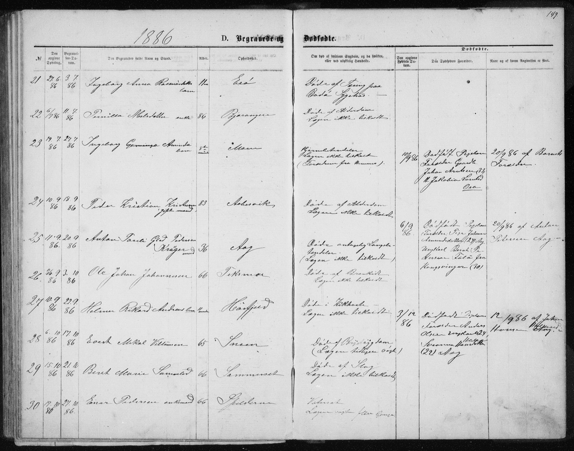 Ministerialprotokoller, klokkerbøker og fødselsregistre - Nordland, AV/SAT-A-1459/843/L0635: Parish register (copy) no. 843C04, 1872-1887, p. 149