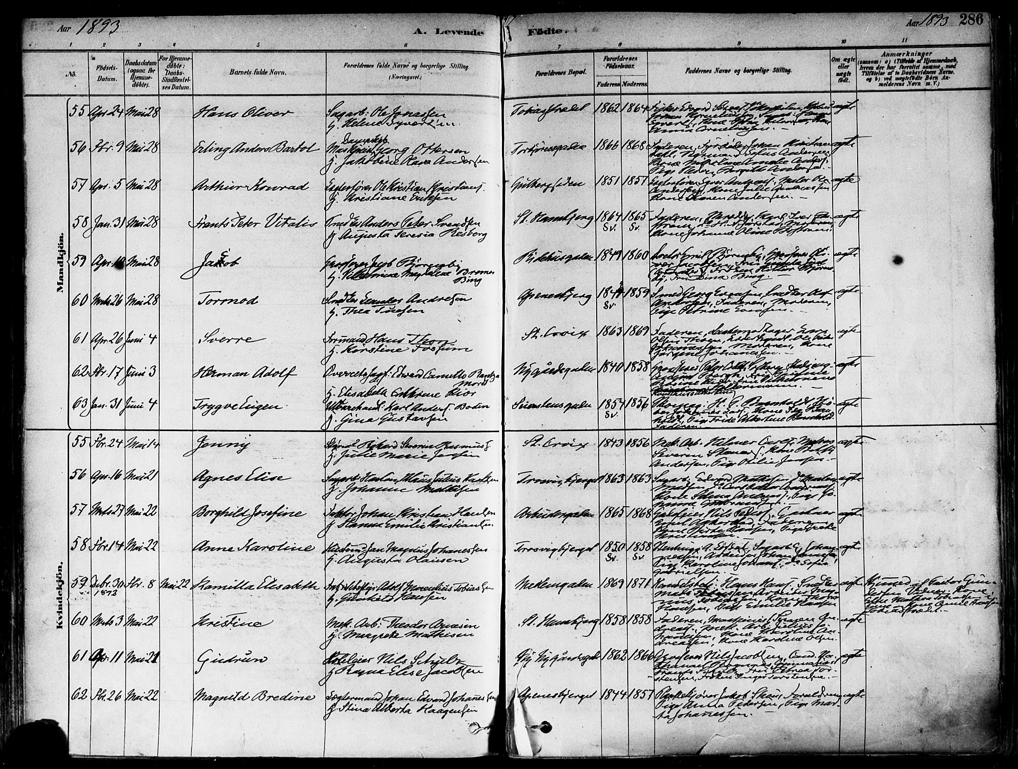 Fredrikstad domkirkes prestekontor Kirkebøker, AV/SAO-A-10906/F/Fa/L0002: Parish register (official) no. 2, 1878-1894, p. 286