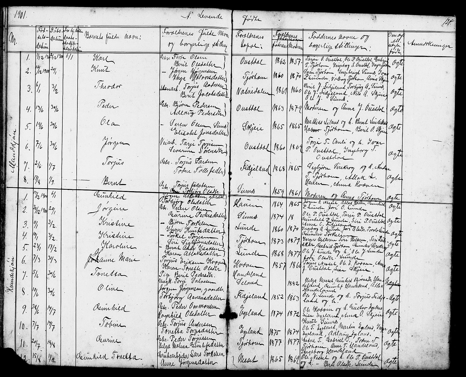 Sirdal sokneprestkontor, AV/SAK-1111-0036/F/Fb/Fba/L0001: Parish register (copy) no. B 1, 1872-1905, p. 124