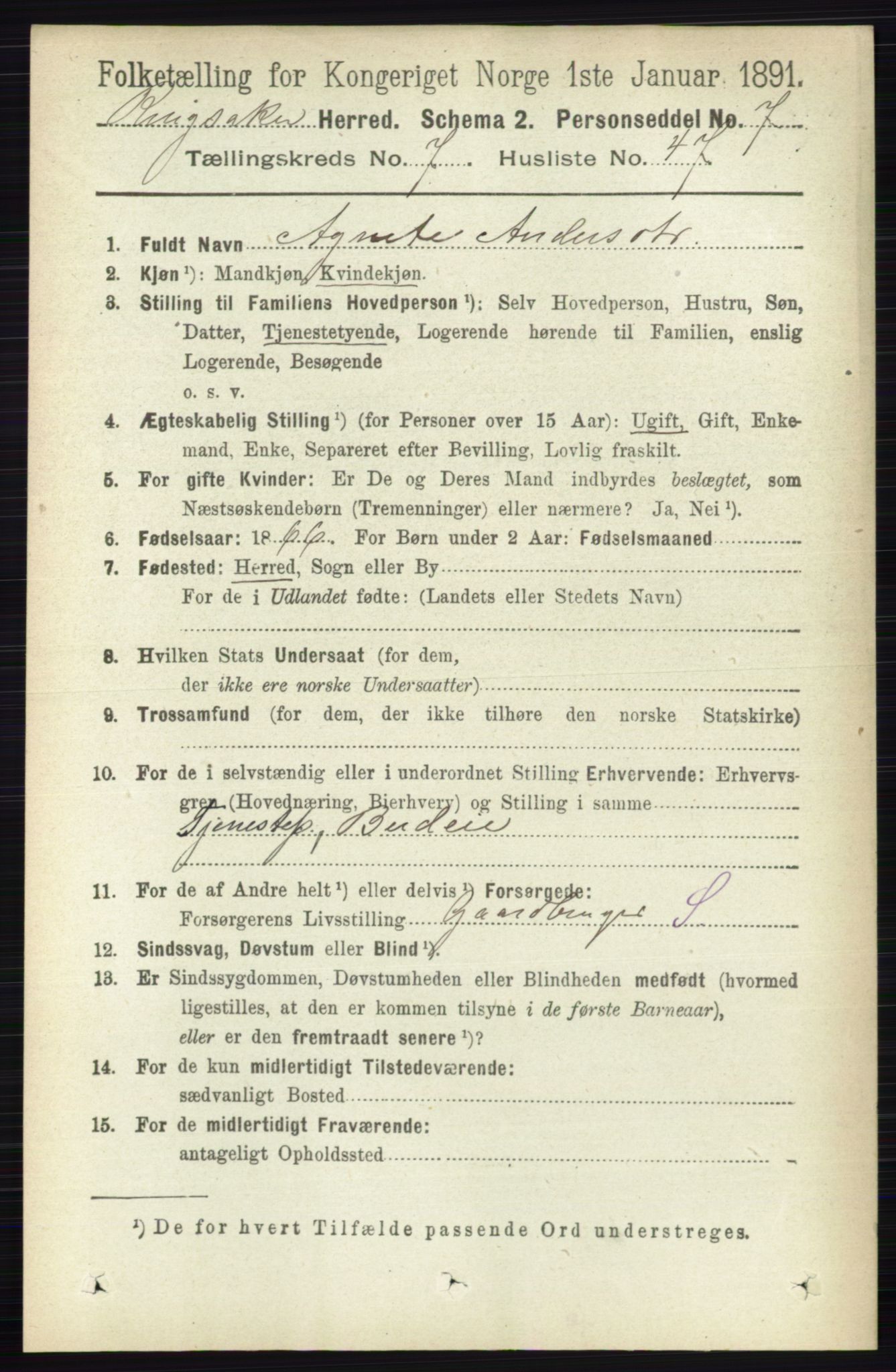 RA, 1891 census for 0412 Ringsaker, 1891, p. 4217