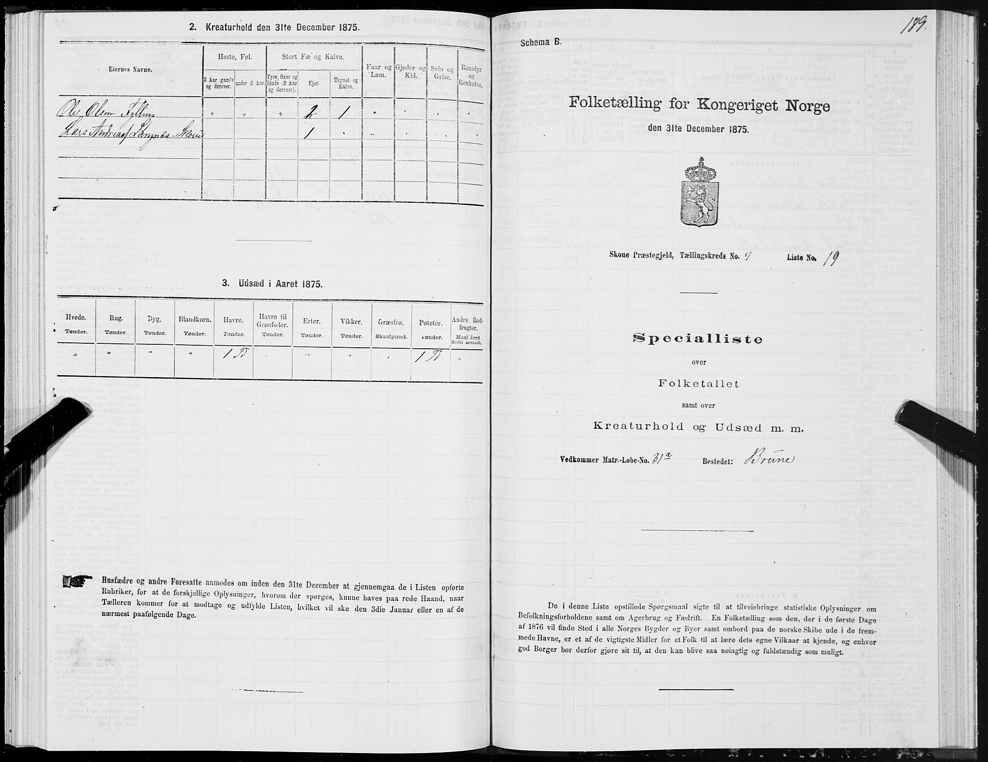 SAT, 1875 census for 1529P Skodje, 1875, p. 2189