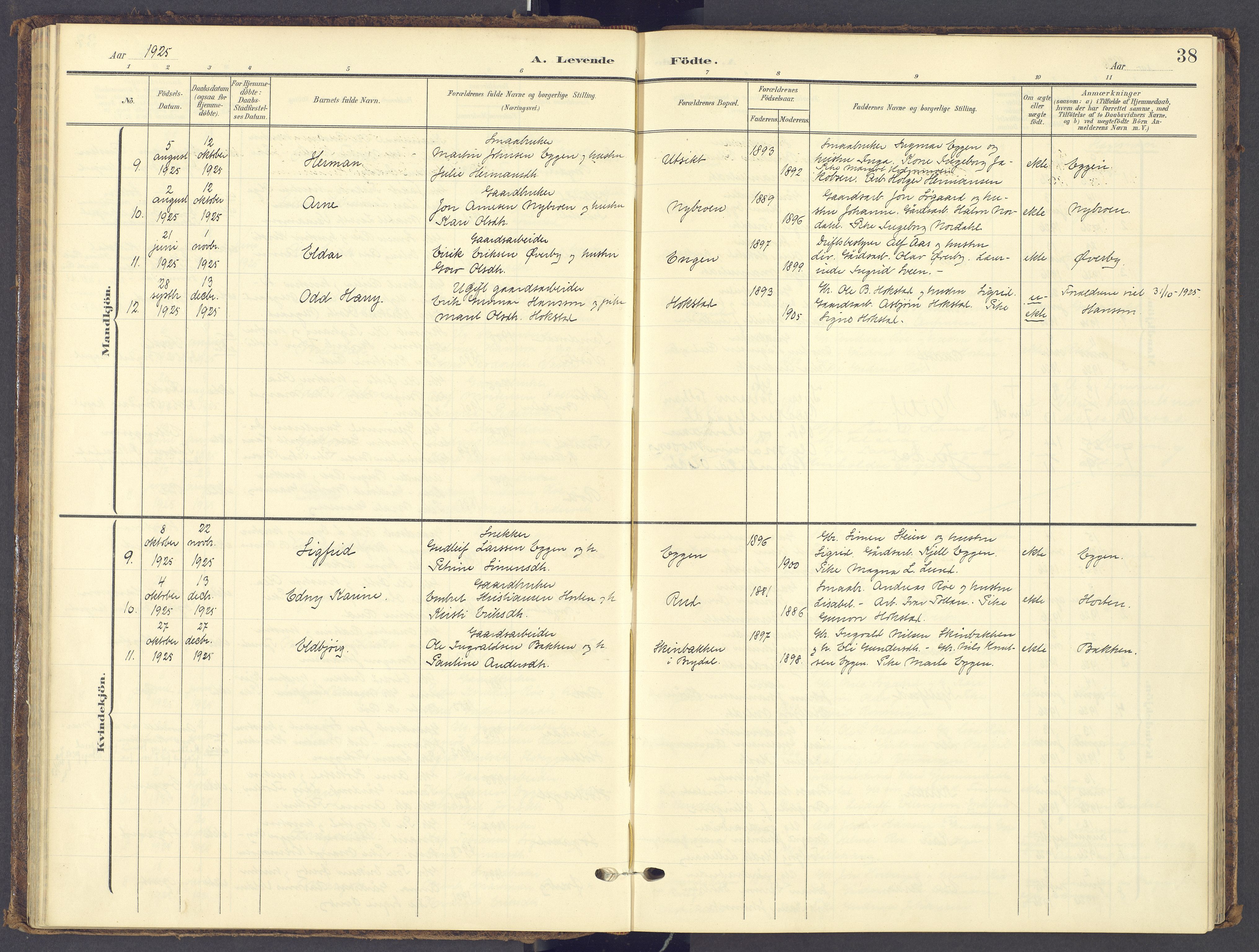 Tynset prestekontor, AV/SAH-PREST-058/H/Ha/Haa/L0028: Parish register (official) no. 28, 1902-1929, p. 38