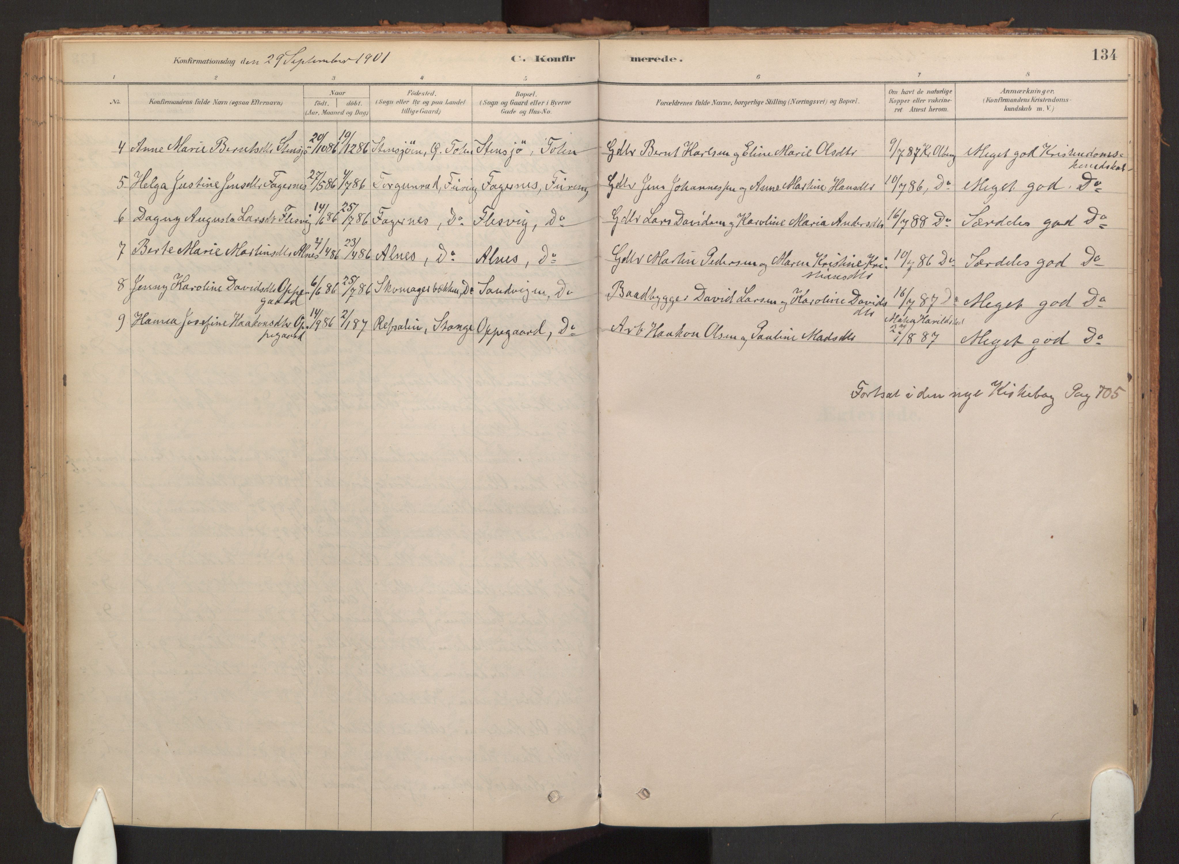 Hurdal prestekontor Kirkebøker, AV/SAO-A-10889/F/Fb/L0003: Parish register (official) no. II 3, 1878-1920, p. 134