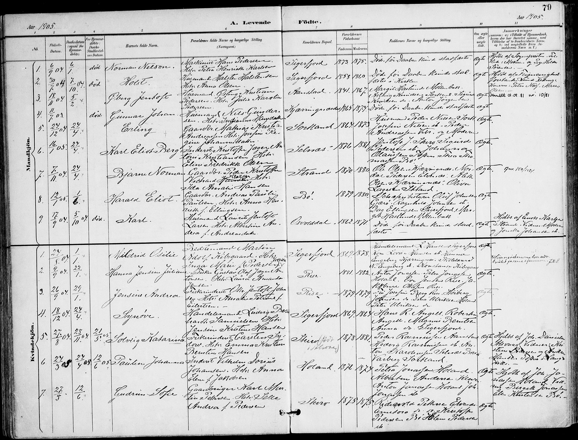 Ministerialprotokoller, klokkerbøker og fødselsregistre - Nordland, AV/SAT-A-1459/895/L1372: Parish register (official) no. 895A07, 1894-1914, p. 79