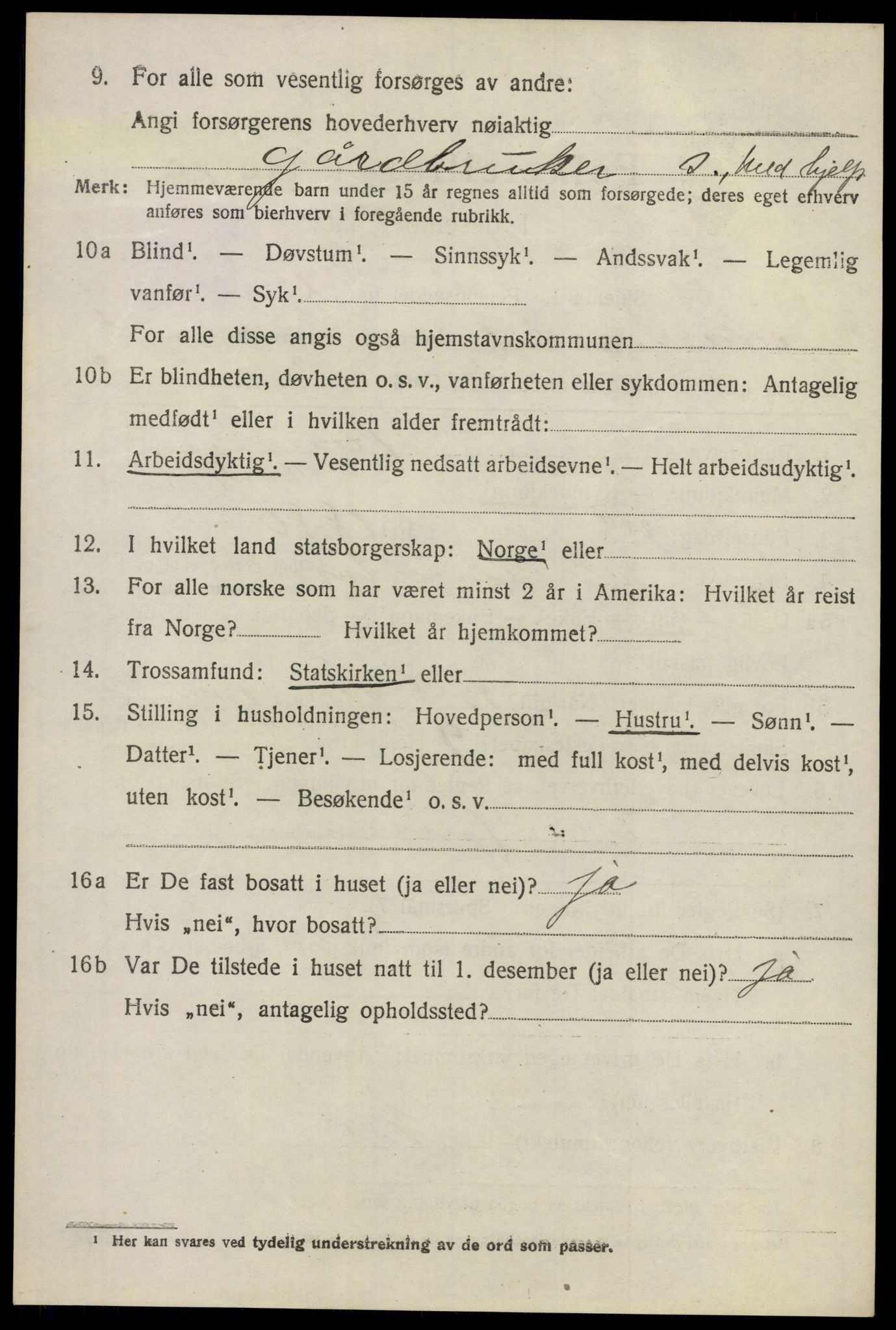 SAO, 1920 census for Nannestad, 1920, p. 2294